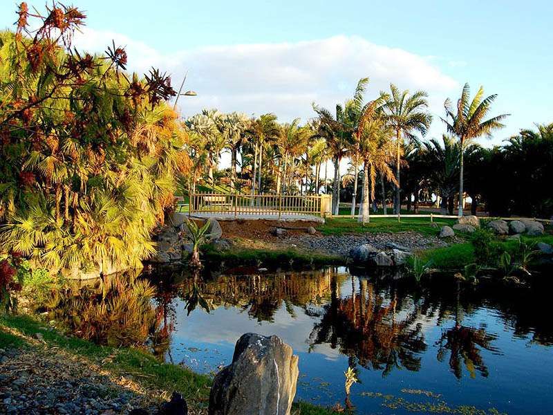 Imagen del tour: Palmetum de Santa Cruz de Tenerife: Entrada