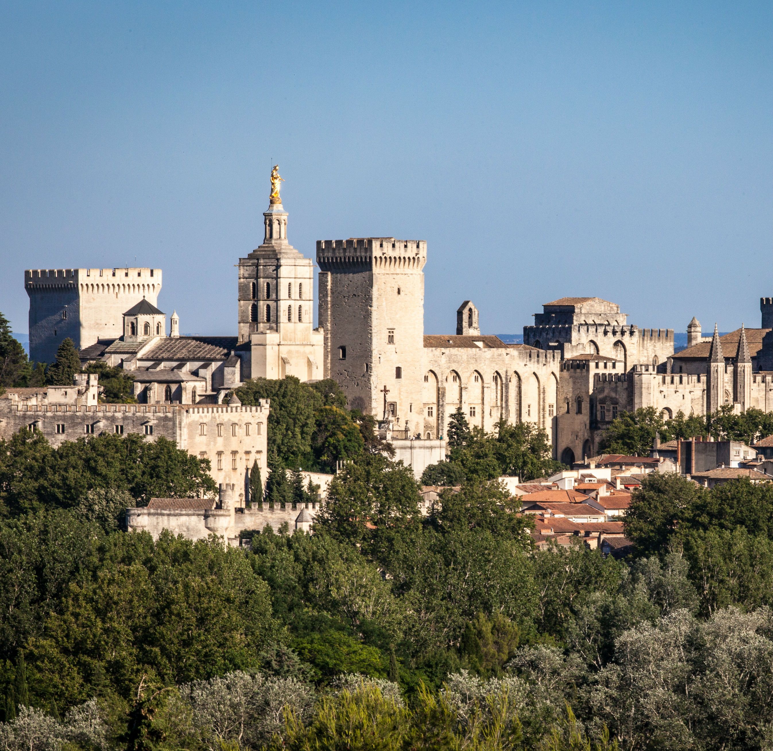 Imagen del tour: Palacio de los Papas y Puente de Avignon: Entrada
