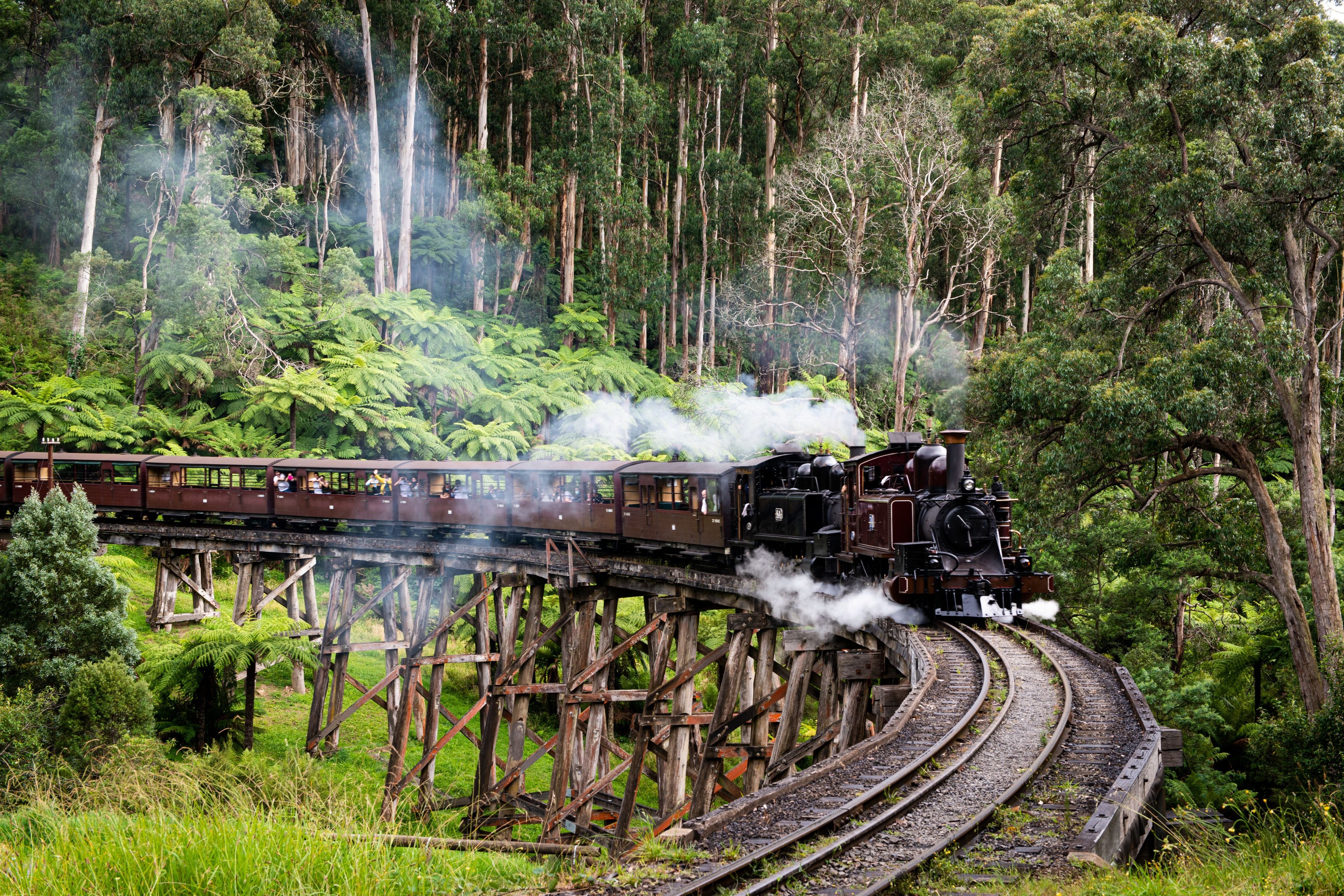 Imagen del tour: Ferrocarril Puffing Billy: Recorrido por la Naturaleza + Traslados