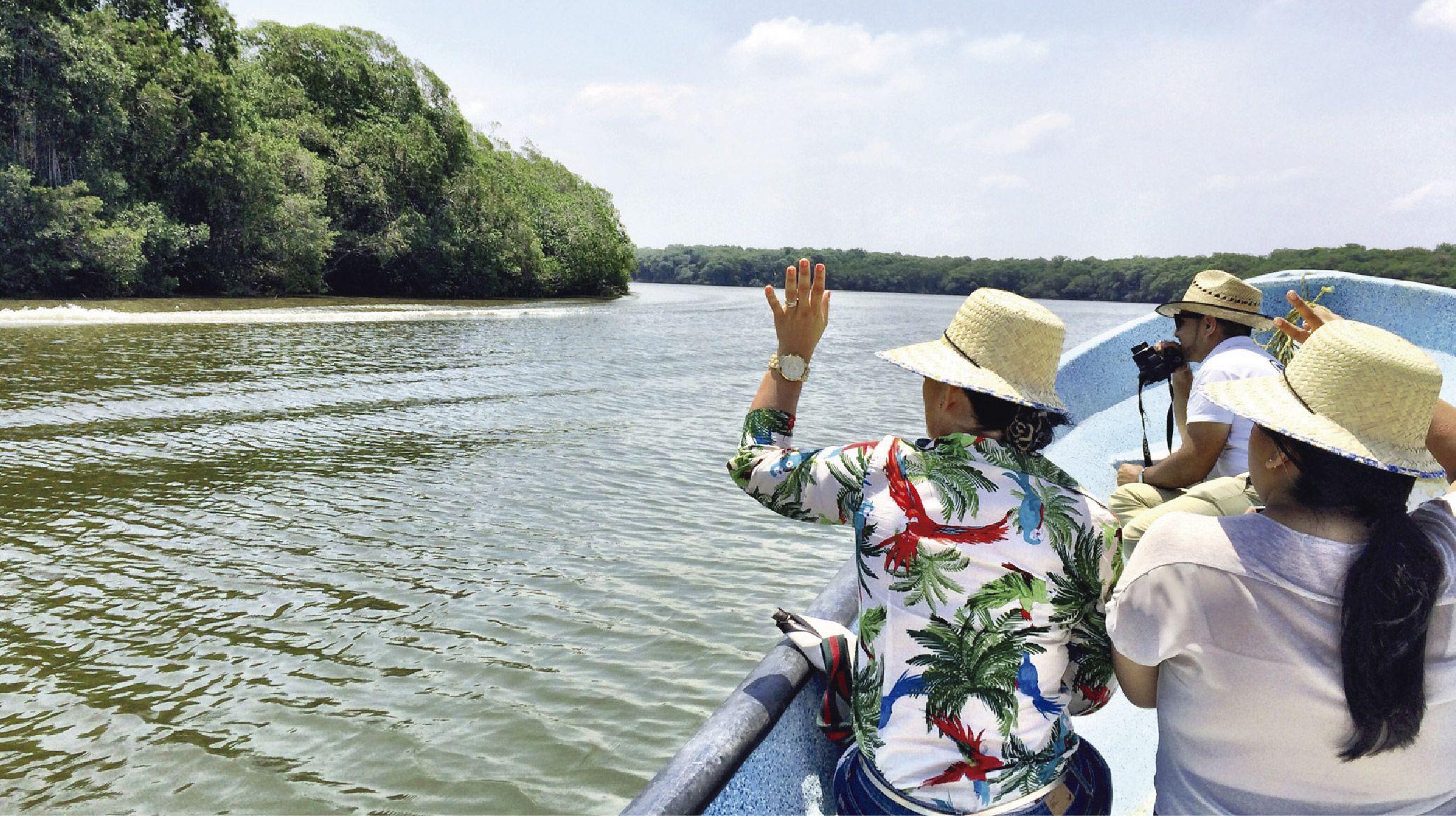 Imagen del tour: Lago Mandinga: Tour en lancha + Transporte desde Veracruz