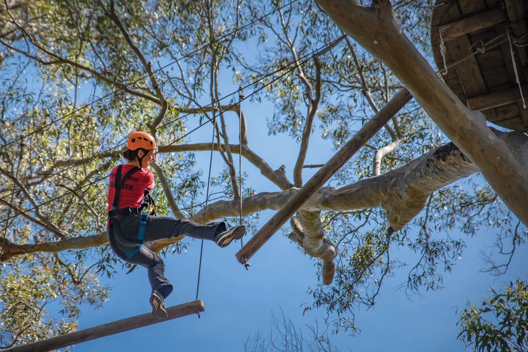 Imagen del tour: Oeste de Sydney: Aventura en las copas de los árboles