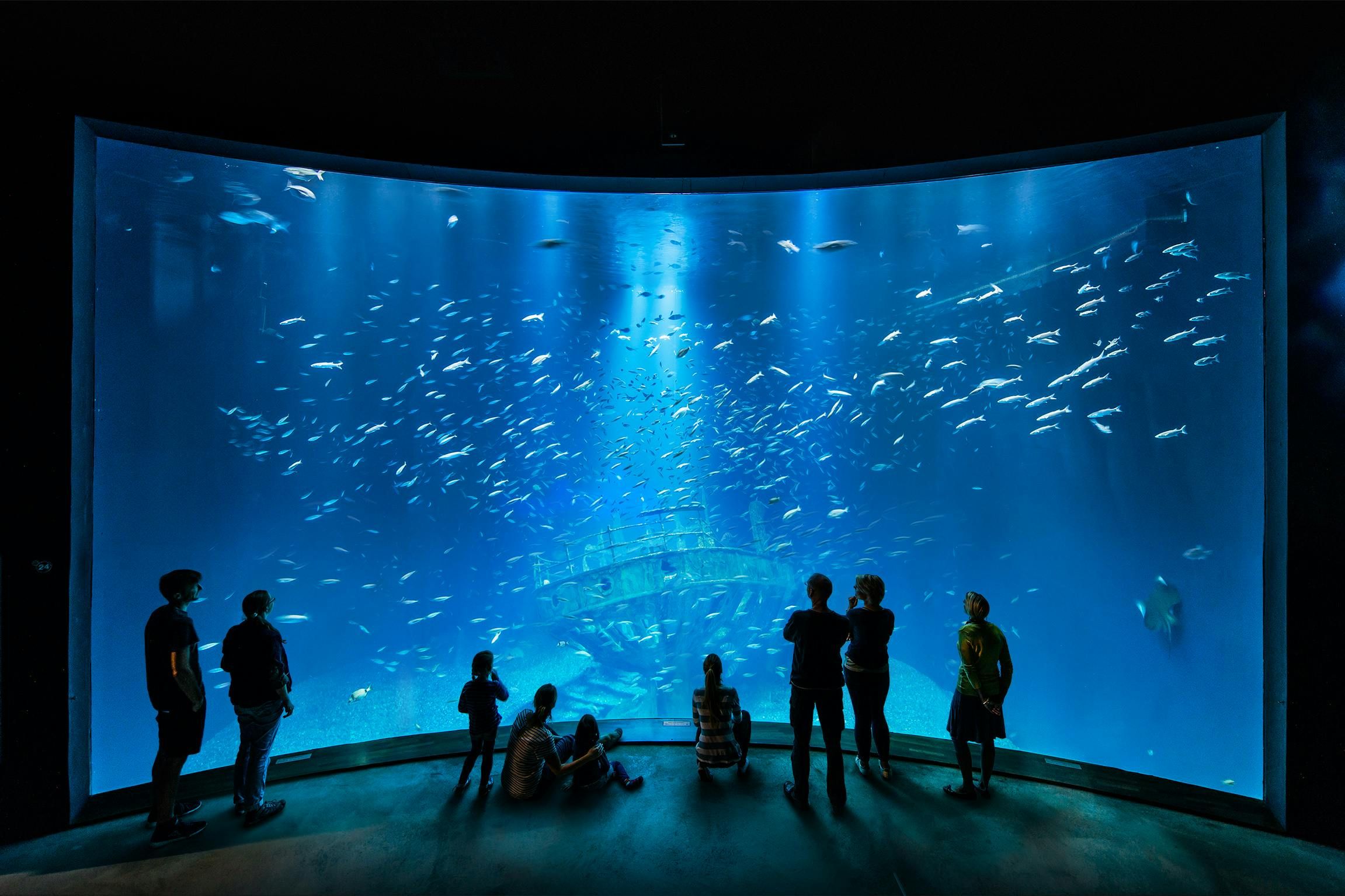 Imagen del tour: OZEANEUM Stralsund