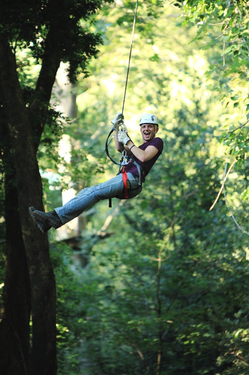 Imagen del tour: Aventura en las copas de los árboles: Parque Belgrave