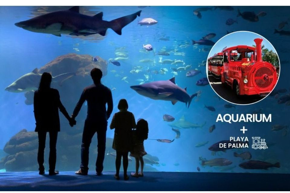 Imagen del tour: Palma Aquarium: Entrada + Traslado desde Playa de Palma