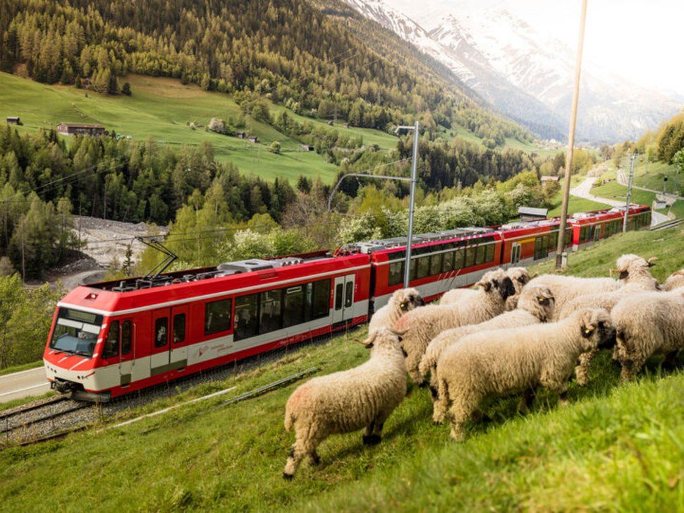 Imagen del tour: Gornergrat Bahn: Tren turístico