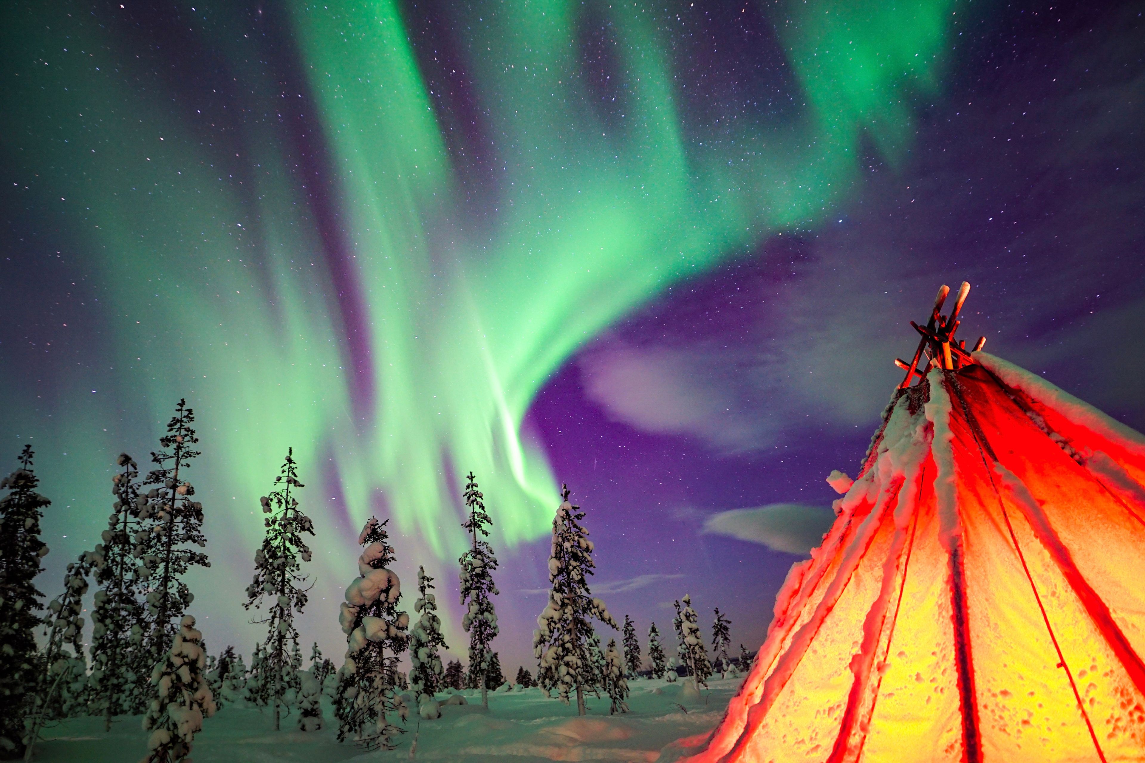 Imagen del tour: Aurora Boreal Rovaniemi: Excursión por la naturaleza + Cámara profesional