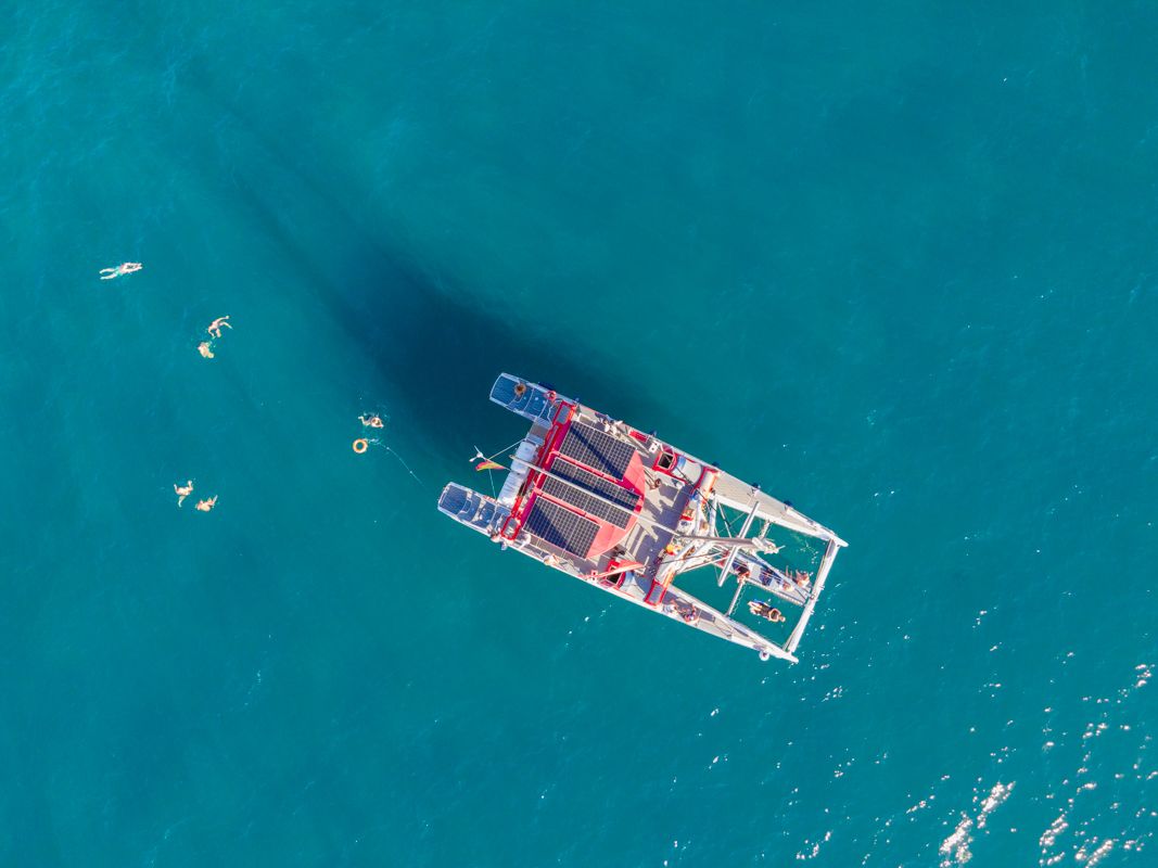 Imagen del tour: Avistamiento y escucha de ballenas y delfines en velero