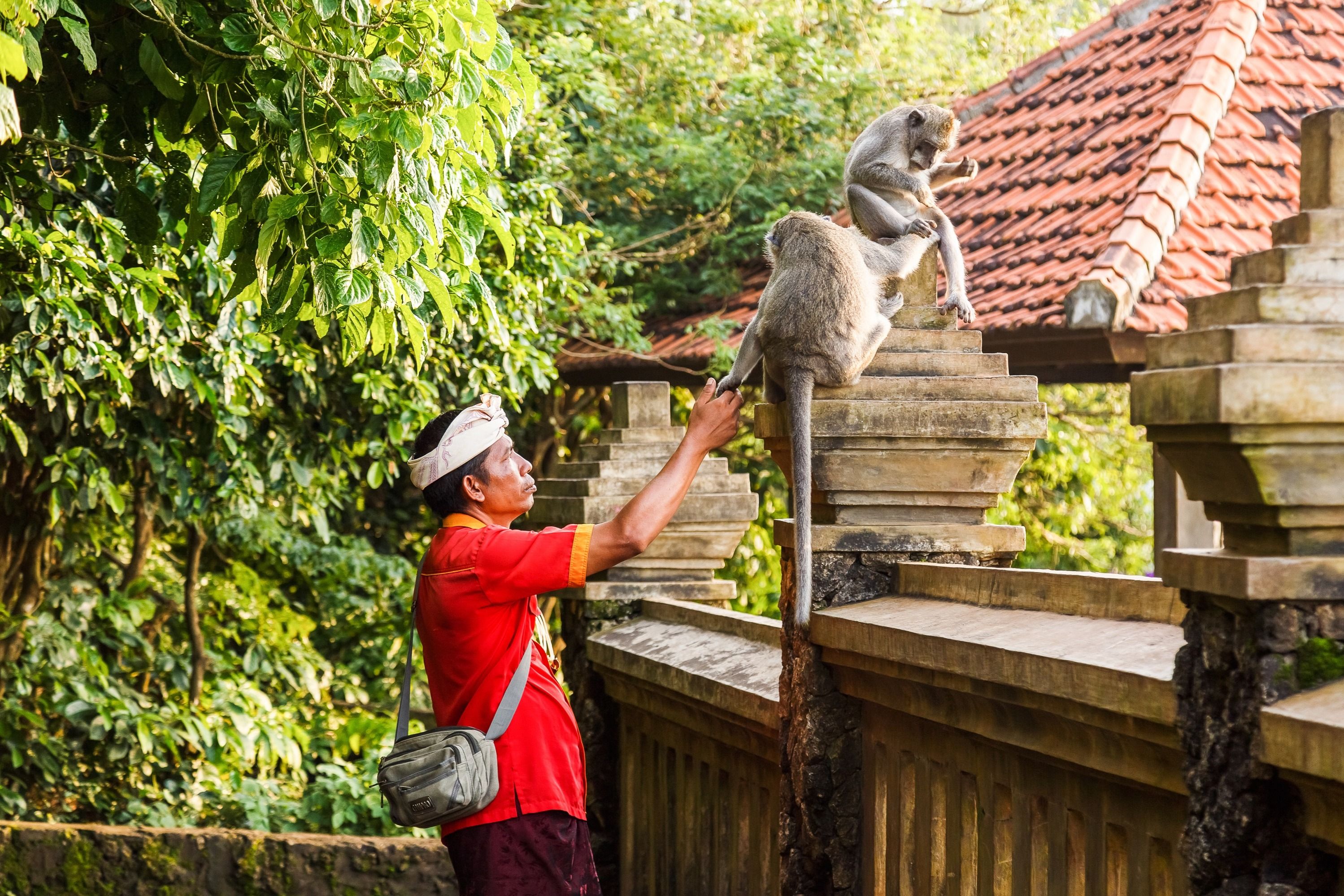 Imagen del tour: Bali: Visita guiada a pie al Templo de Uluwatu