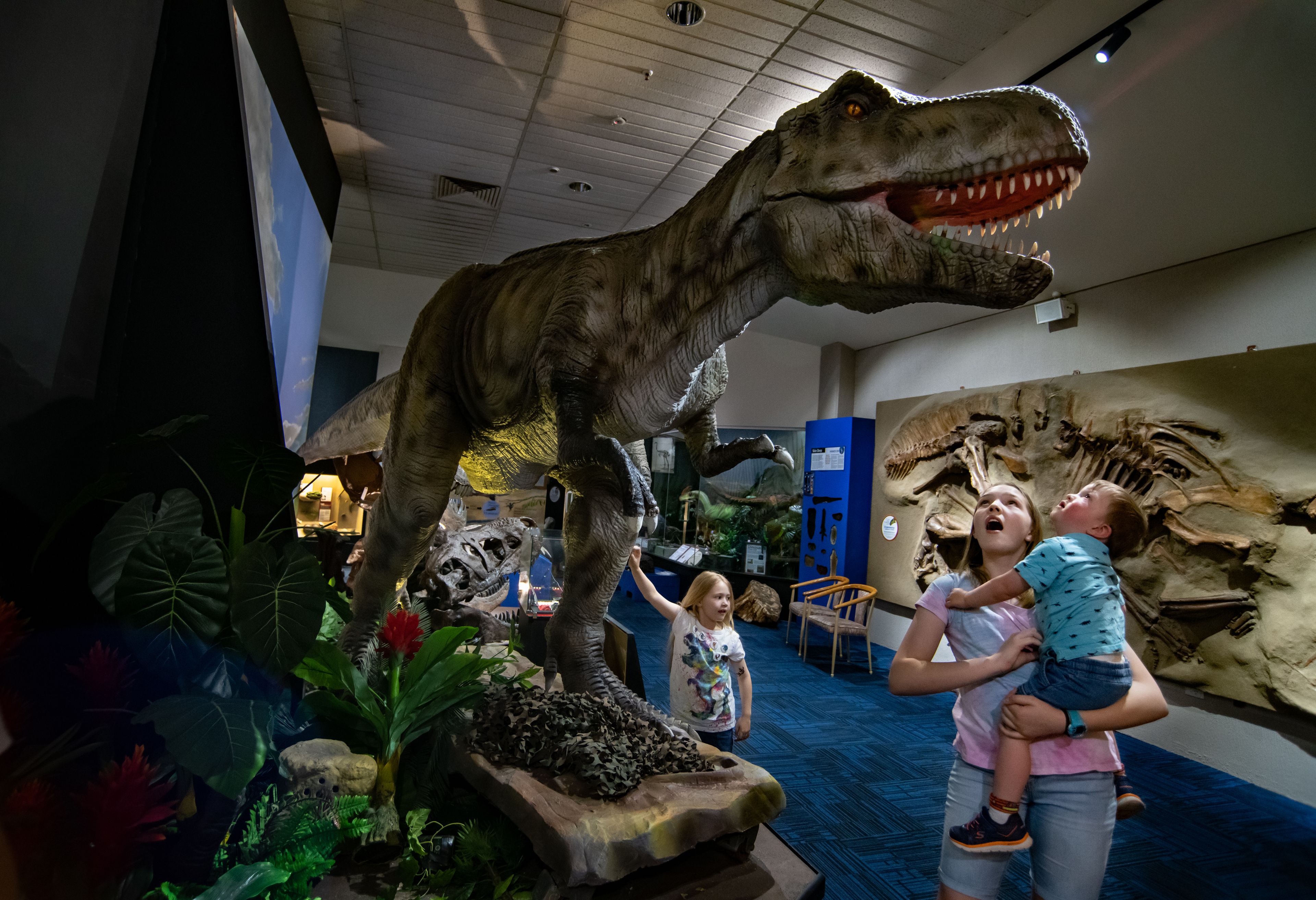 Imagen del tour: Museo Nacional de Dinosaurios: Entrada sin colas