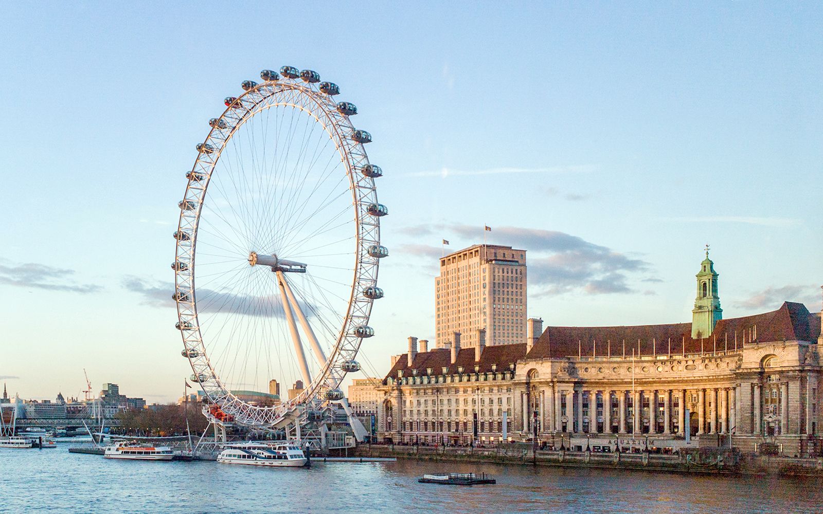 Imagen del tour: Entrada estándar al London Eye