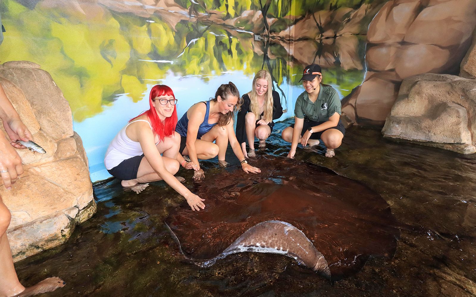 Imagen del tour: Crocosaurus Cove Tickets with Whipray Encounter