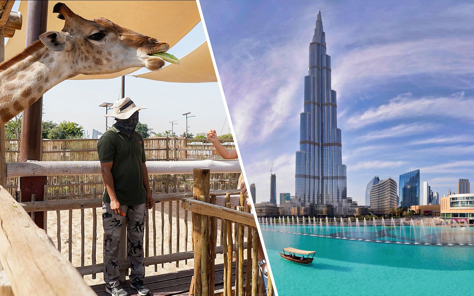 Imagen del tour: Combo de entradas: "Safari Park" de Dubái con paseo safari + Burj Khalifa: At the Top niveles 124 y 125