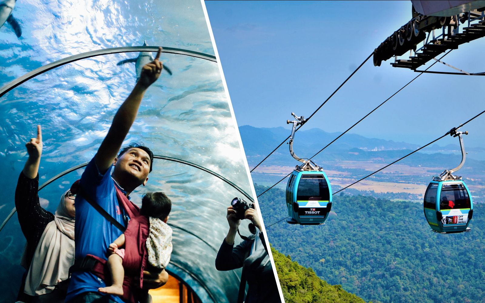 Imagen del tour: Combo: Underwater World + Langkawi SkyCab Cable Car Tickets