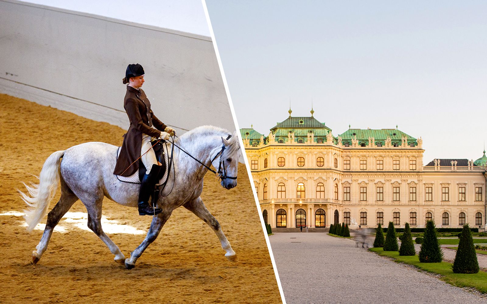 Imagen del tour: Combo: Escuela Española de Equitación de Viena con Música + Entradas al Palacio del Belvedere Superior