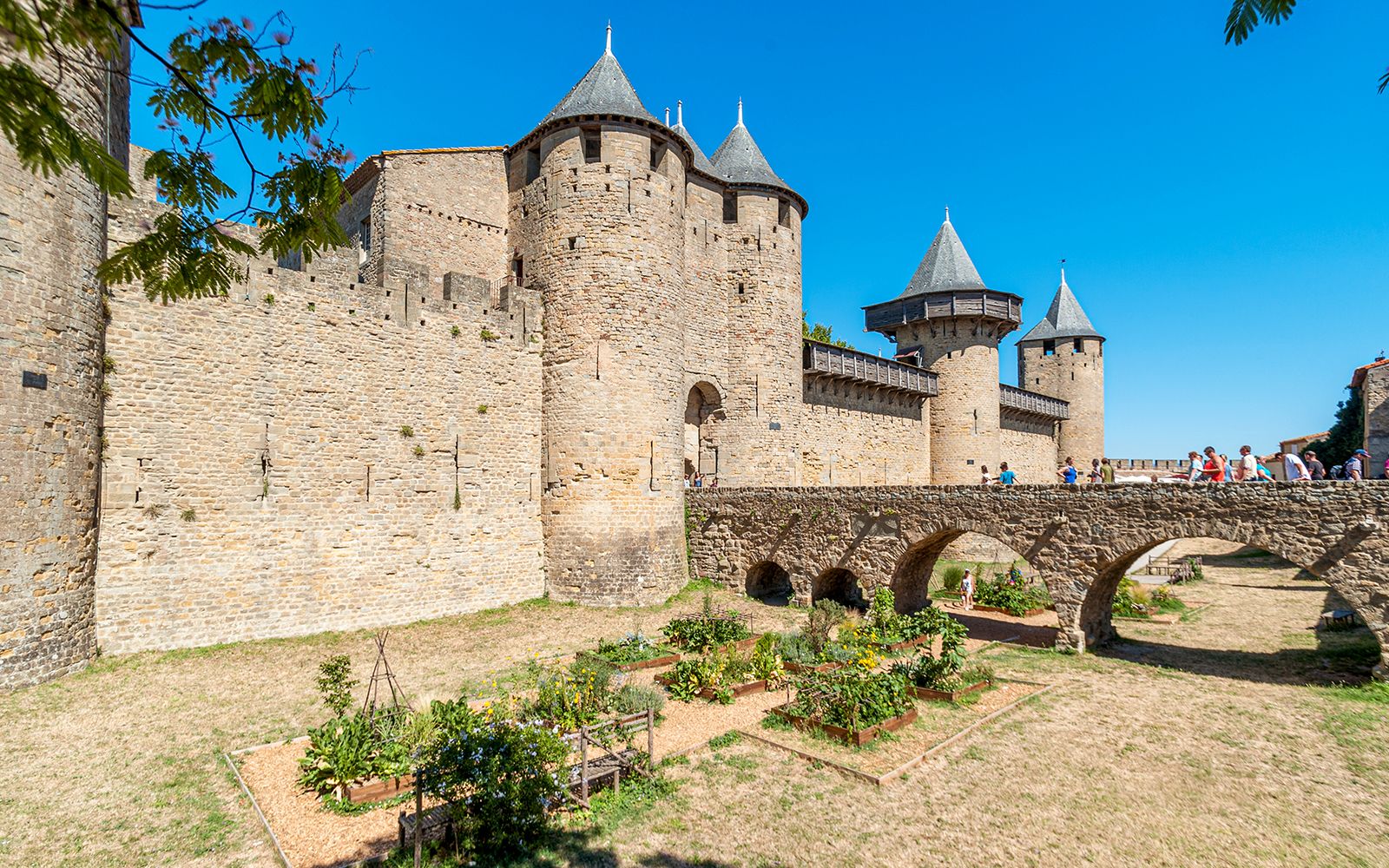 Imagen del tour: Desde Toulouse: Tour de un día completo por Carcasona con Entradas sin colas al Castillo de Comtal
