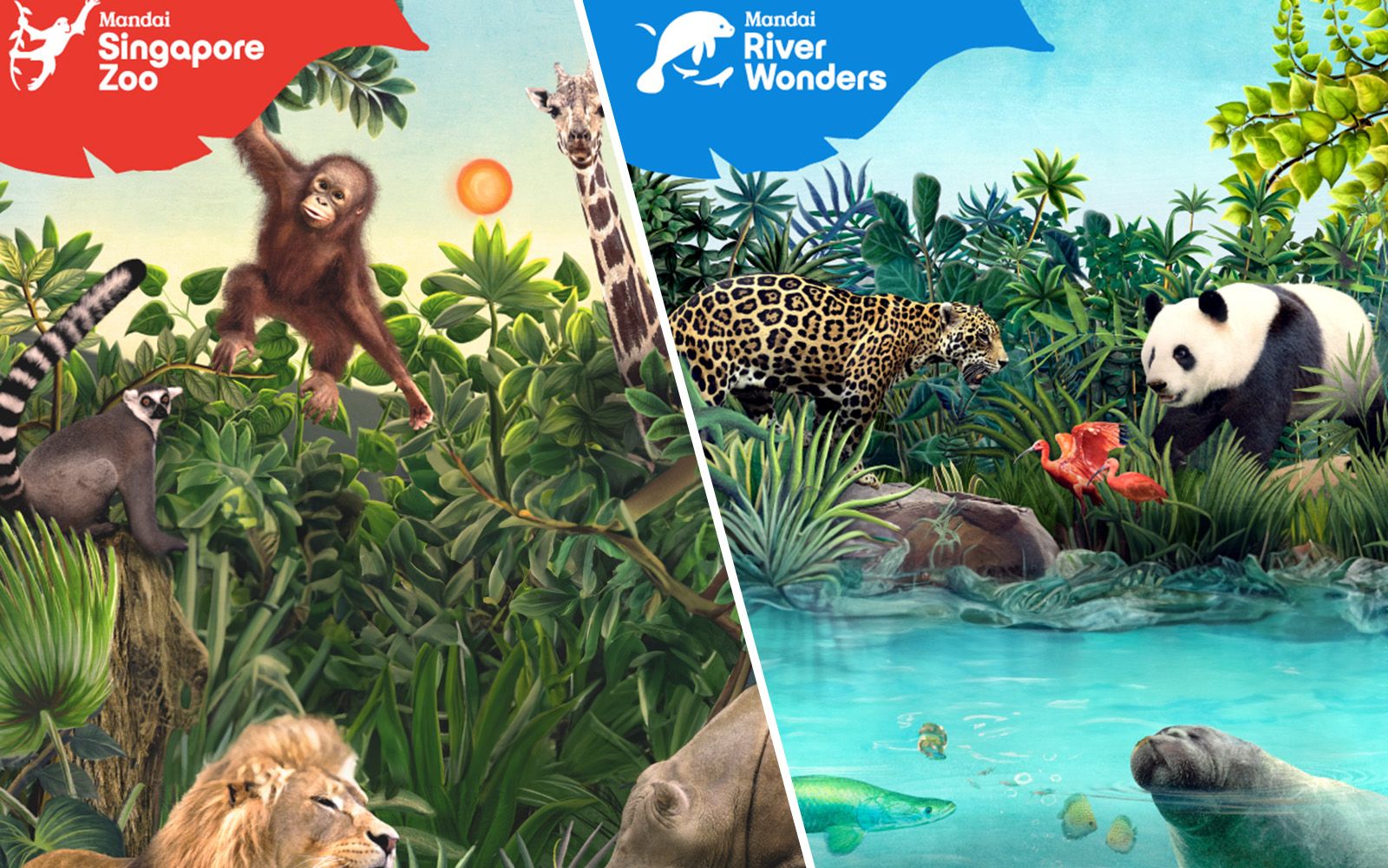 Imagen del tour: 2-Park Super Saver: Singapore Zoo + River Wonders Tickets