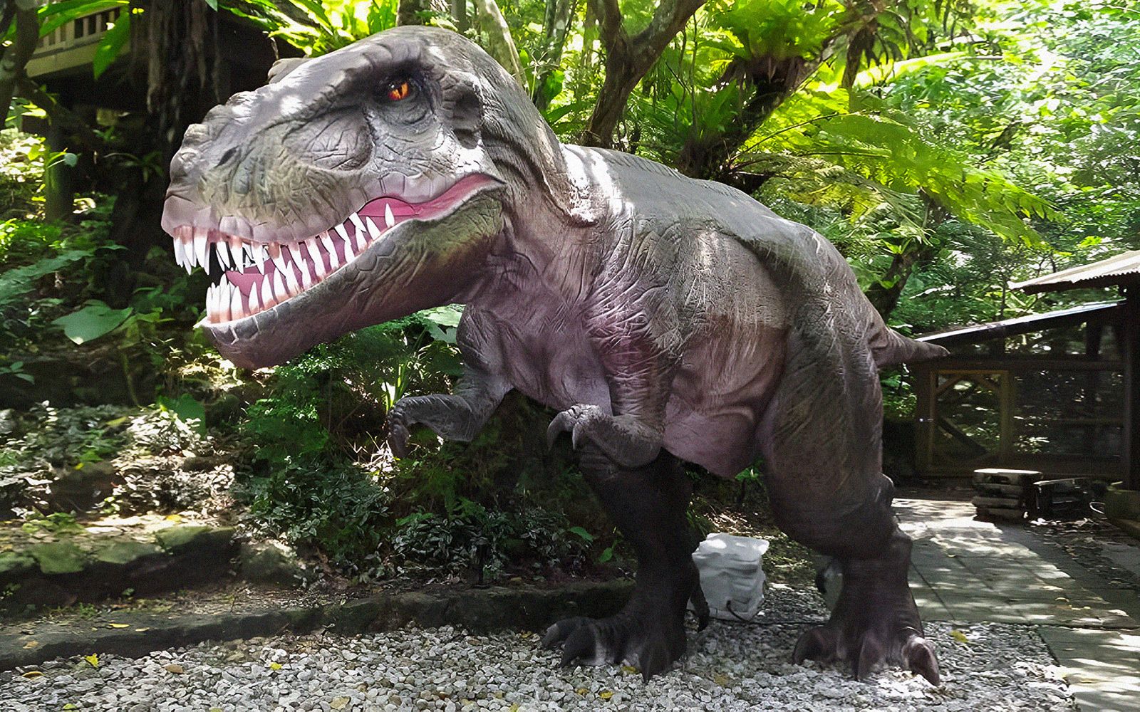 Imagen del tour: Dino Park Yanbaru Subtropical Forest Admission Ticket in Okinawa