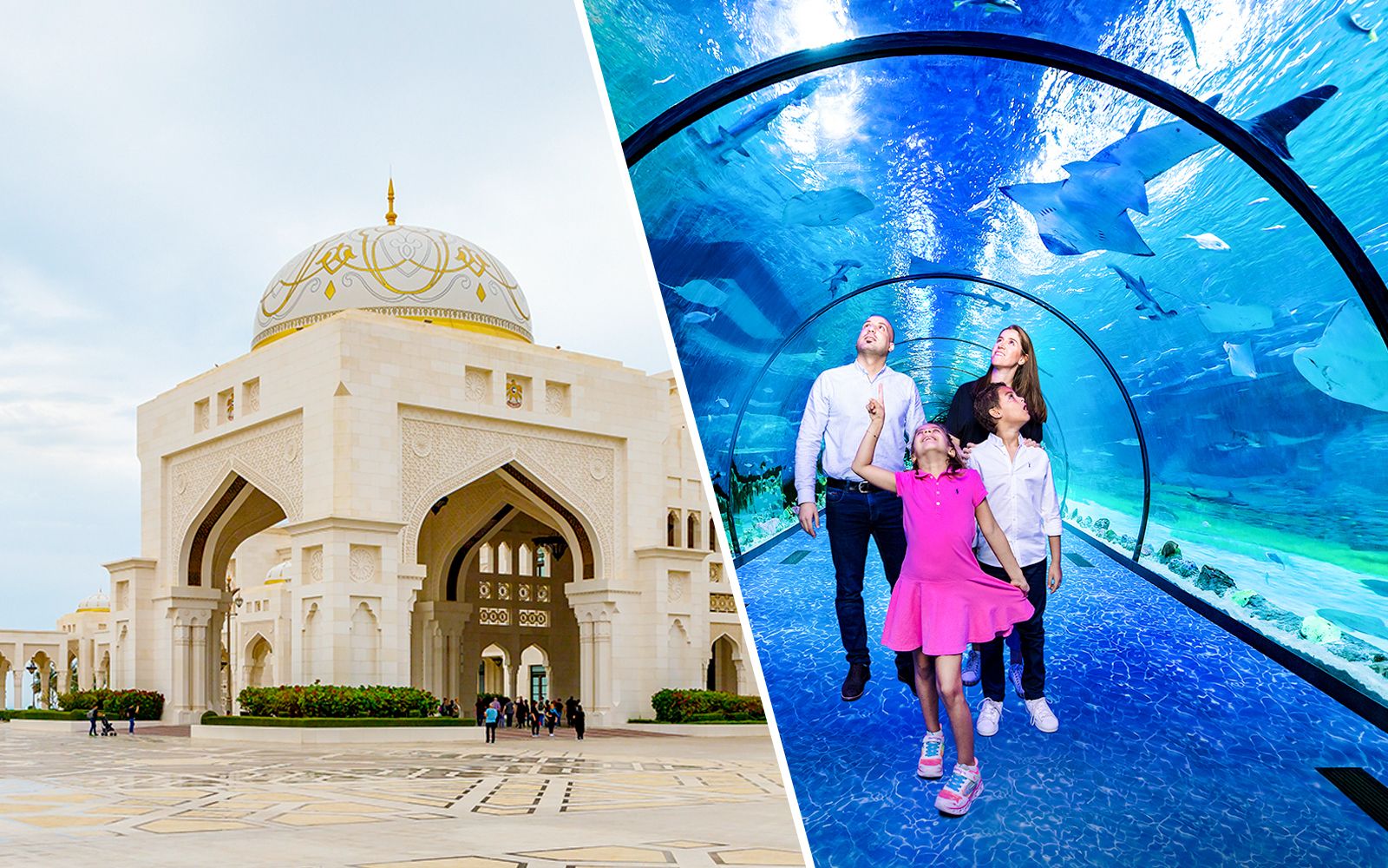 Imagen del tour: Combo: Entradas Skip-the-Line Qasr Al Watan + Entradas National Aquarium Abu Dhabi