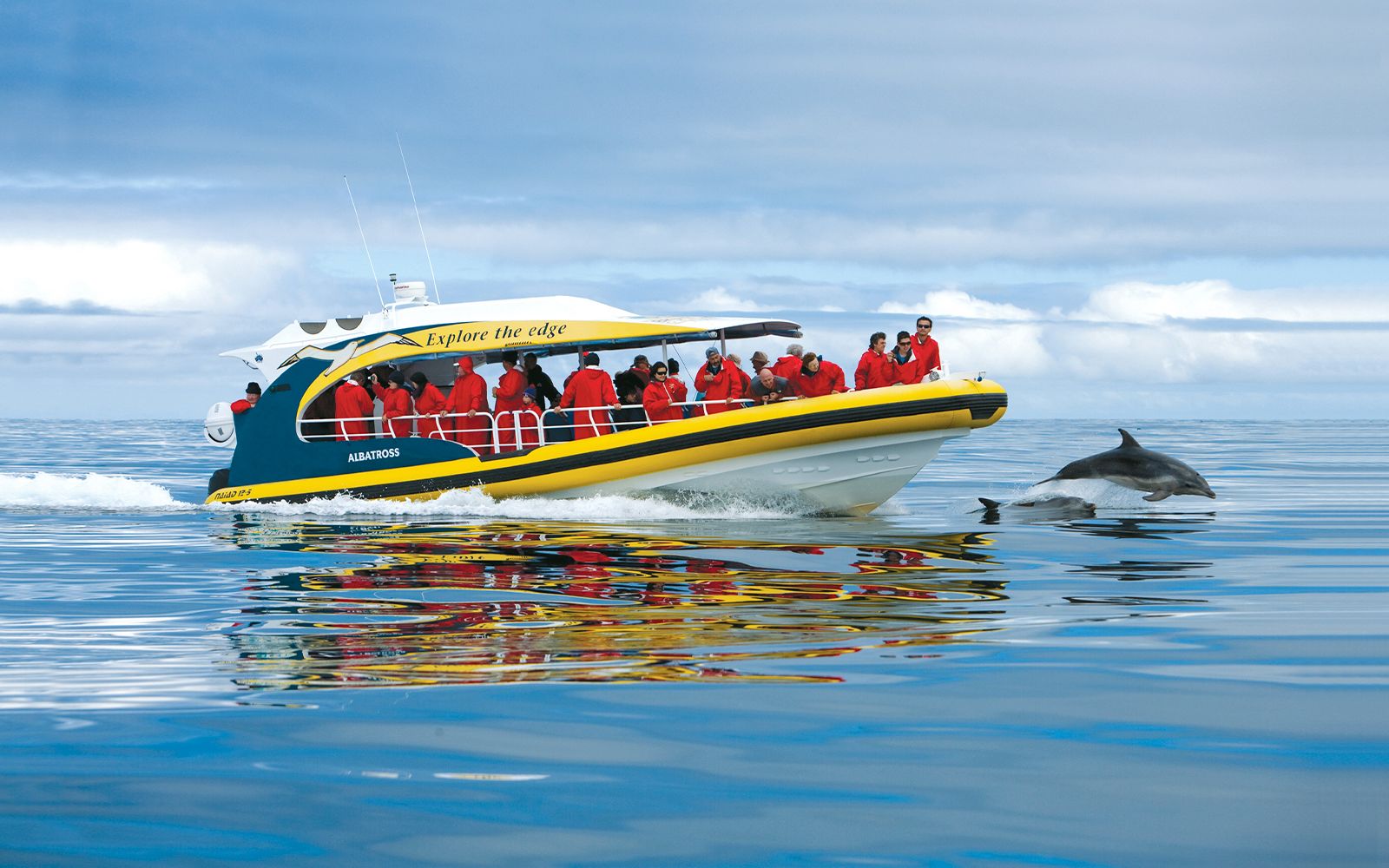 Imagen del tour: Full-Day Tasman Island Tour with Cruise and Lunch from Hobart