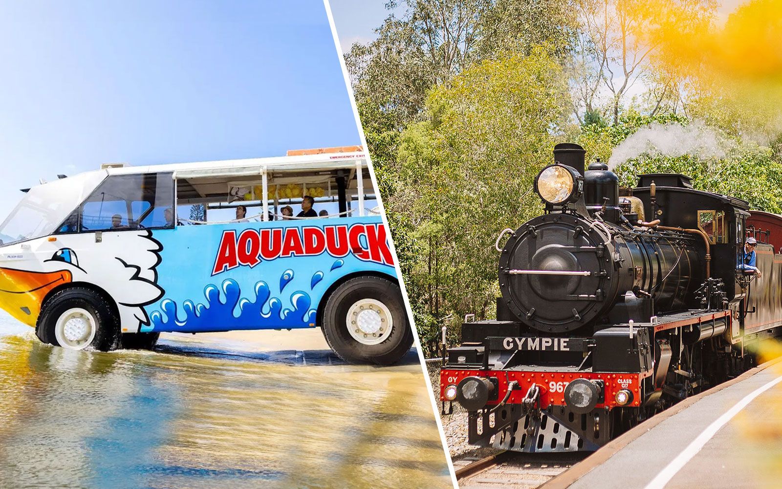 Imagen del tour: Combo: Aquaduck Sunshine Coast Tour + Mary Valley Rattler Train Tickets