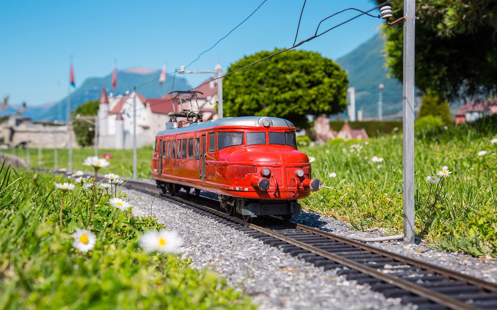 Imagen del tour: Entrada al Parque Suizo en Miniatura