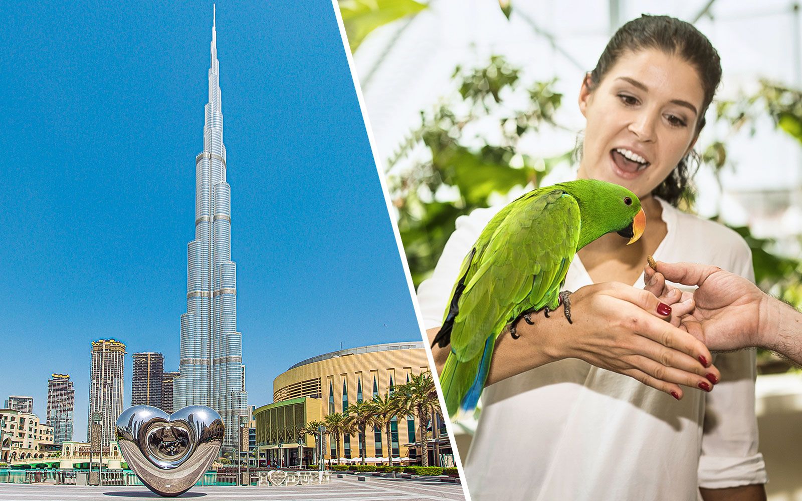 Imagen del tour: Combo: Burj Khalifa At The Top + The Green Planet