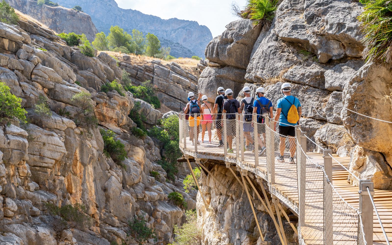 Imagen del tour: Desde Granada/Málaga/Sevilla: visita guiada por el Caminito del Rey con traslados de ida y vuelta