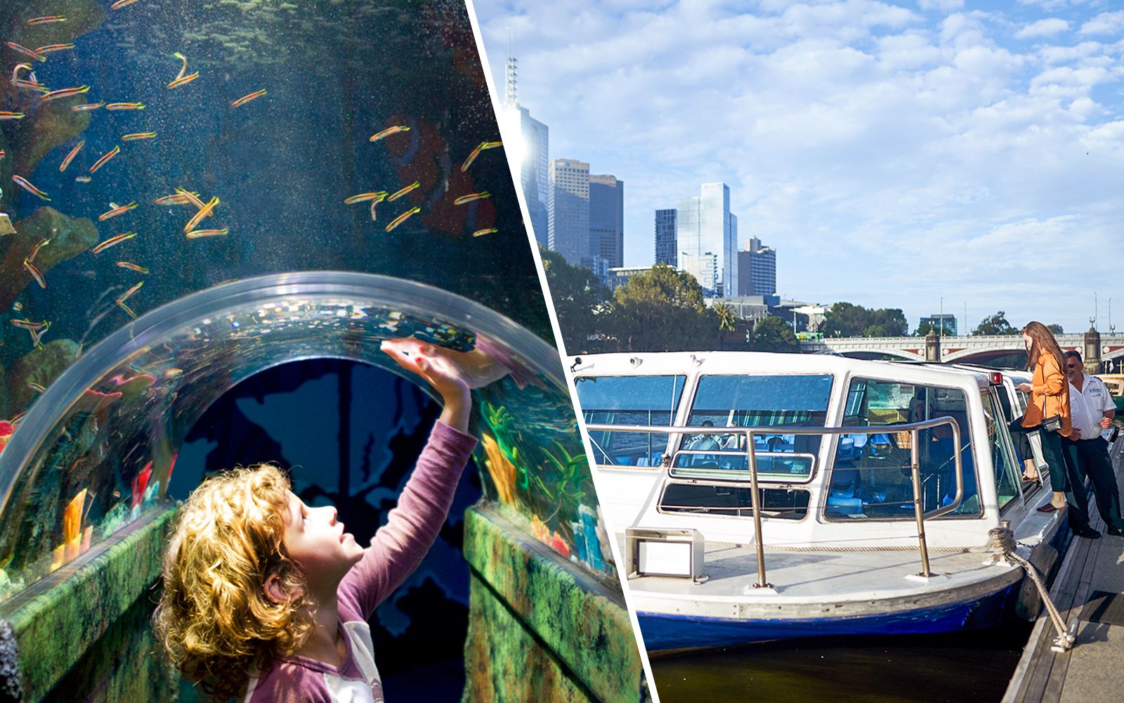 Imagen del tour: Combo: Entradas sin colas para el Acuario SEA LIFE de Melbourne + Crucero de 2 horas por el río Yarra