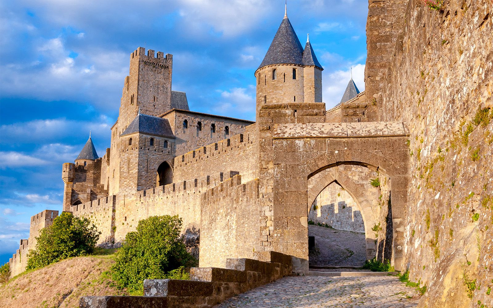 Imagen del tour: Entradas al castillo y murallas de Carcasona