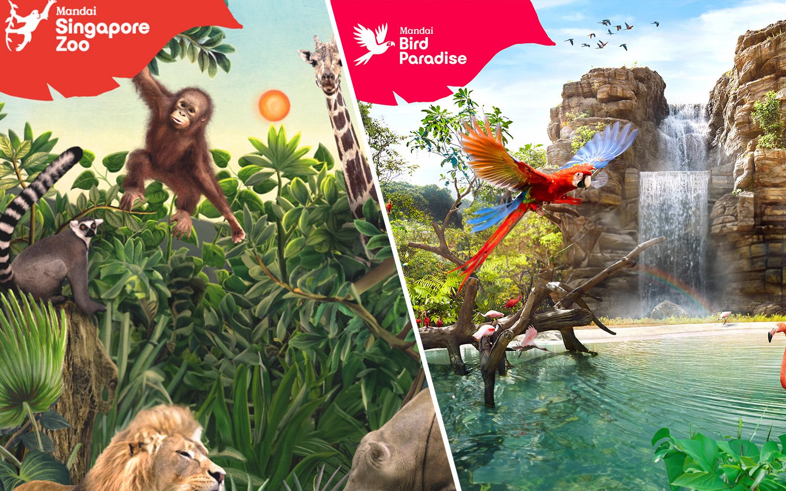 Imagen del tour: 2-Park Super Saver: Singapore Zoo + Bird Paradise