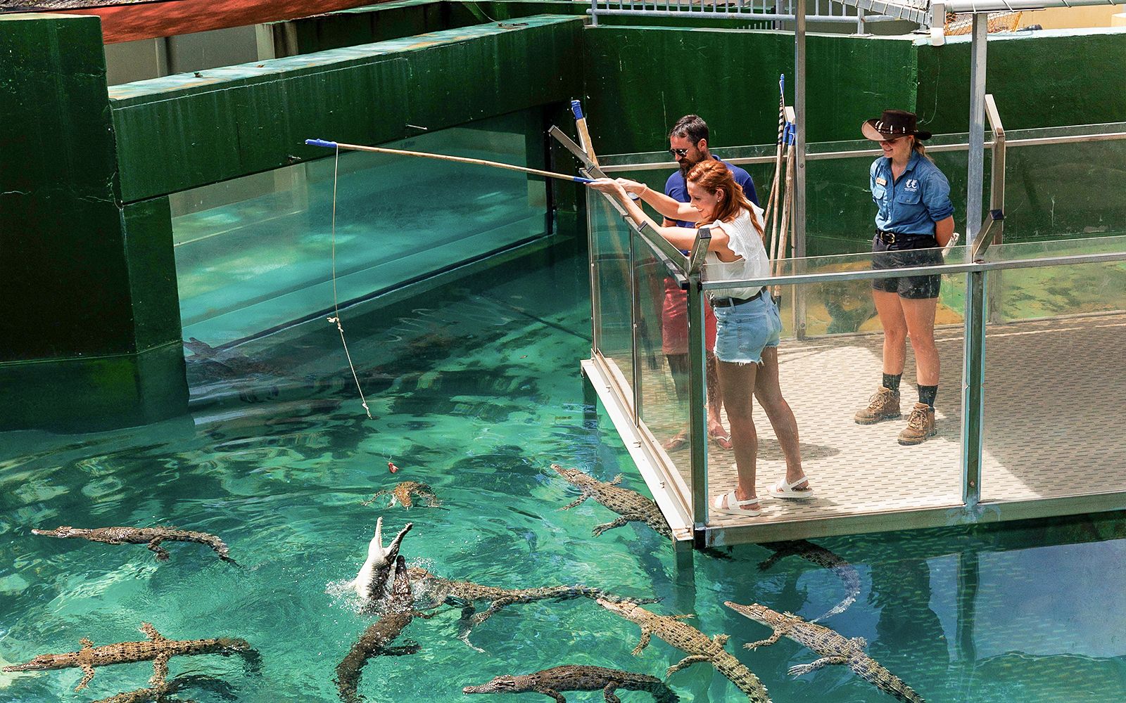 Imagen del tour: Crocosaurus Cove Tickets with VIP Tour