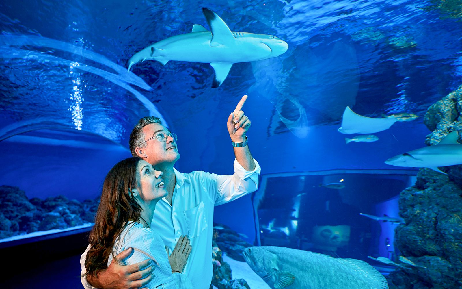 Imagen del tour: Cairns Aquarium by Twilight with Optional Dining