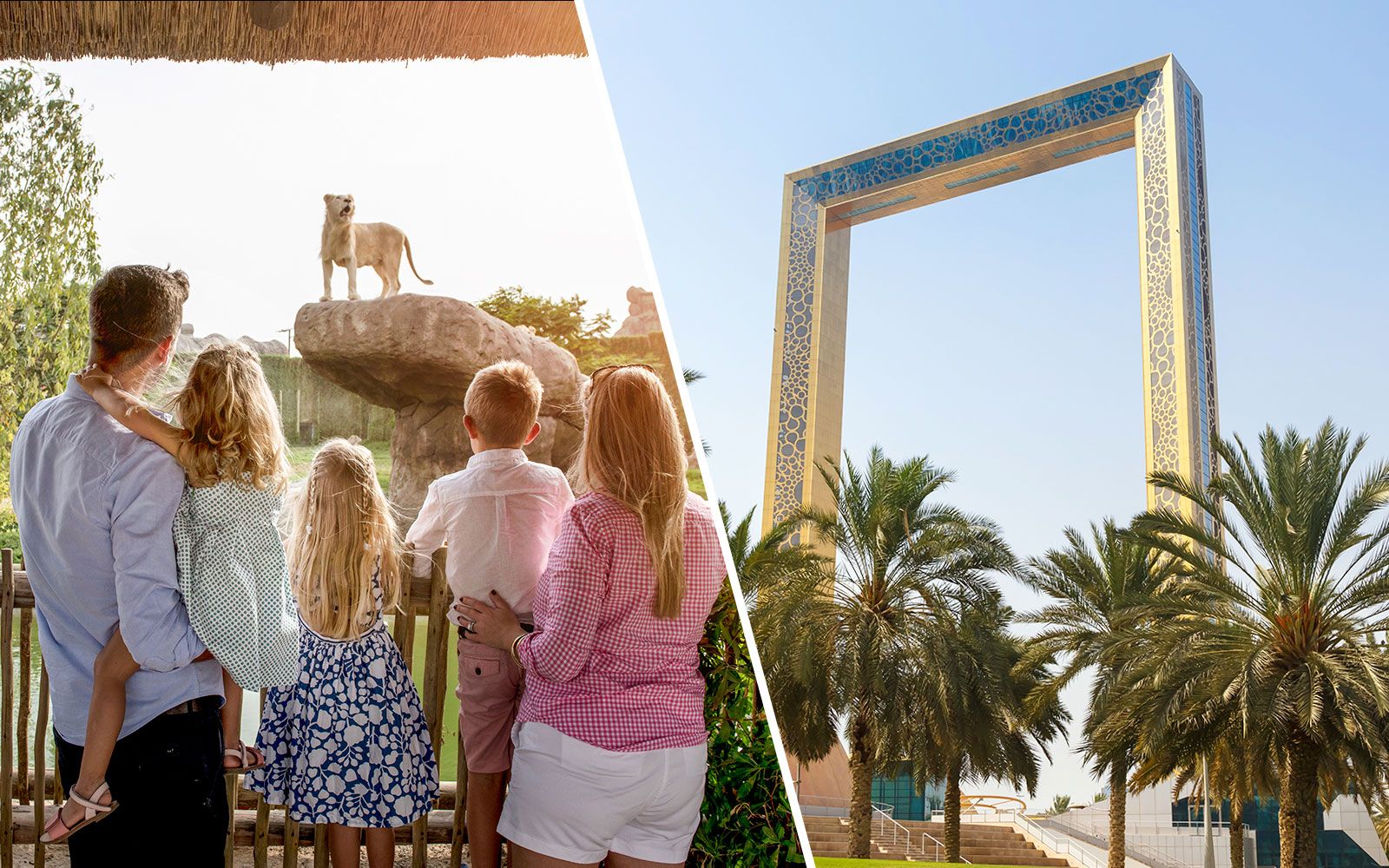 Imagen del tour: Dubái: entradas combinadas para Dubai Safari Park y Dubai Frame