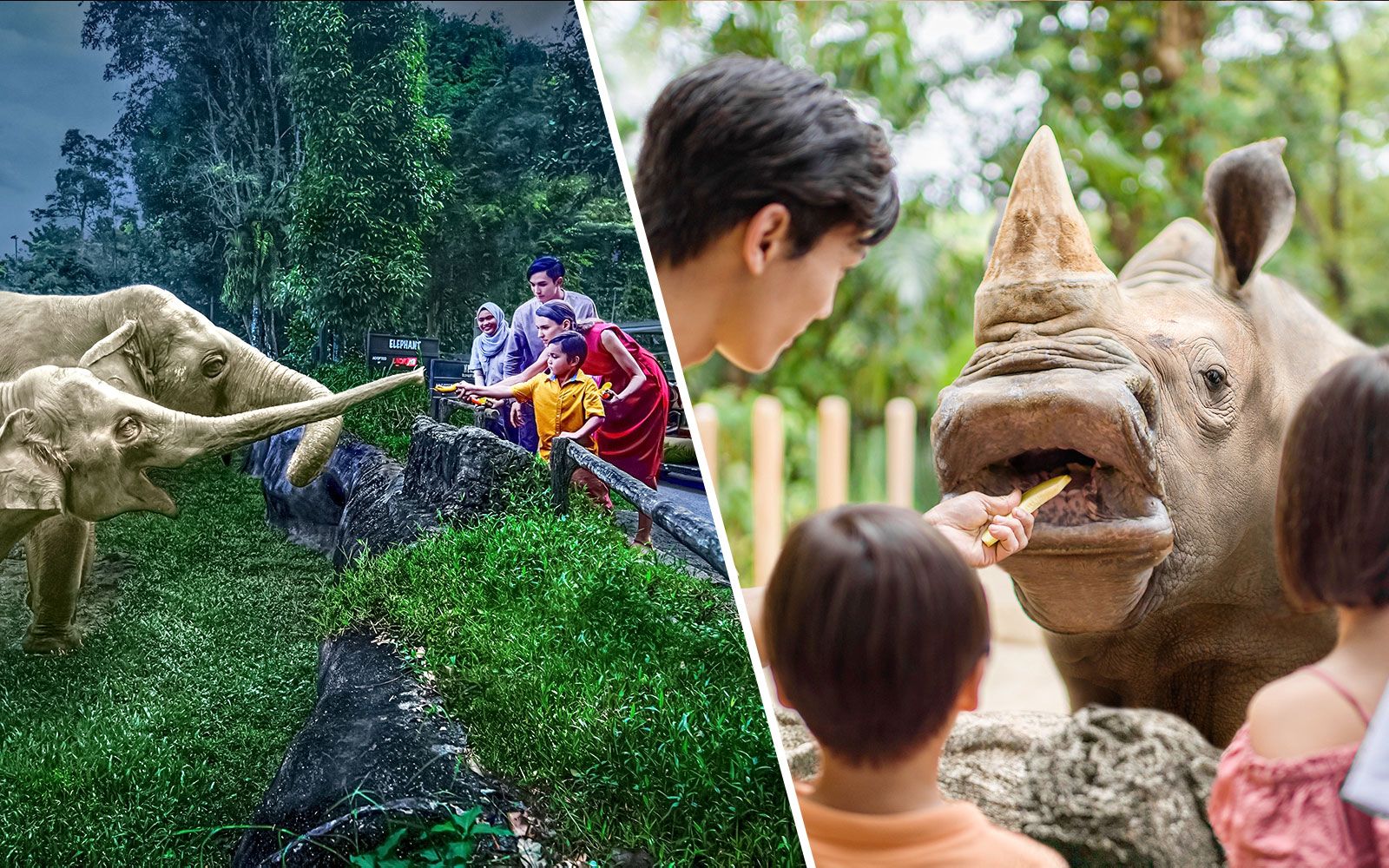 Imagen del tour: Combo: Singapore Night Safari with Tram Ride + Singapore Zoo Tickets