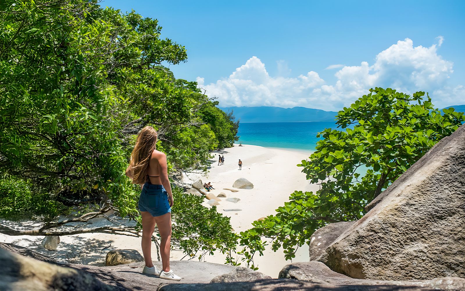 Imagen del tour: Crucero de día completo de Cairns a la Isla Fitzroy con almuerzo a elegir y excursión en barco con fondo de cristal o de snorkel