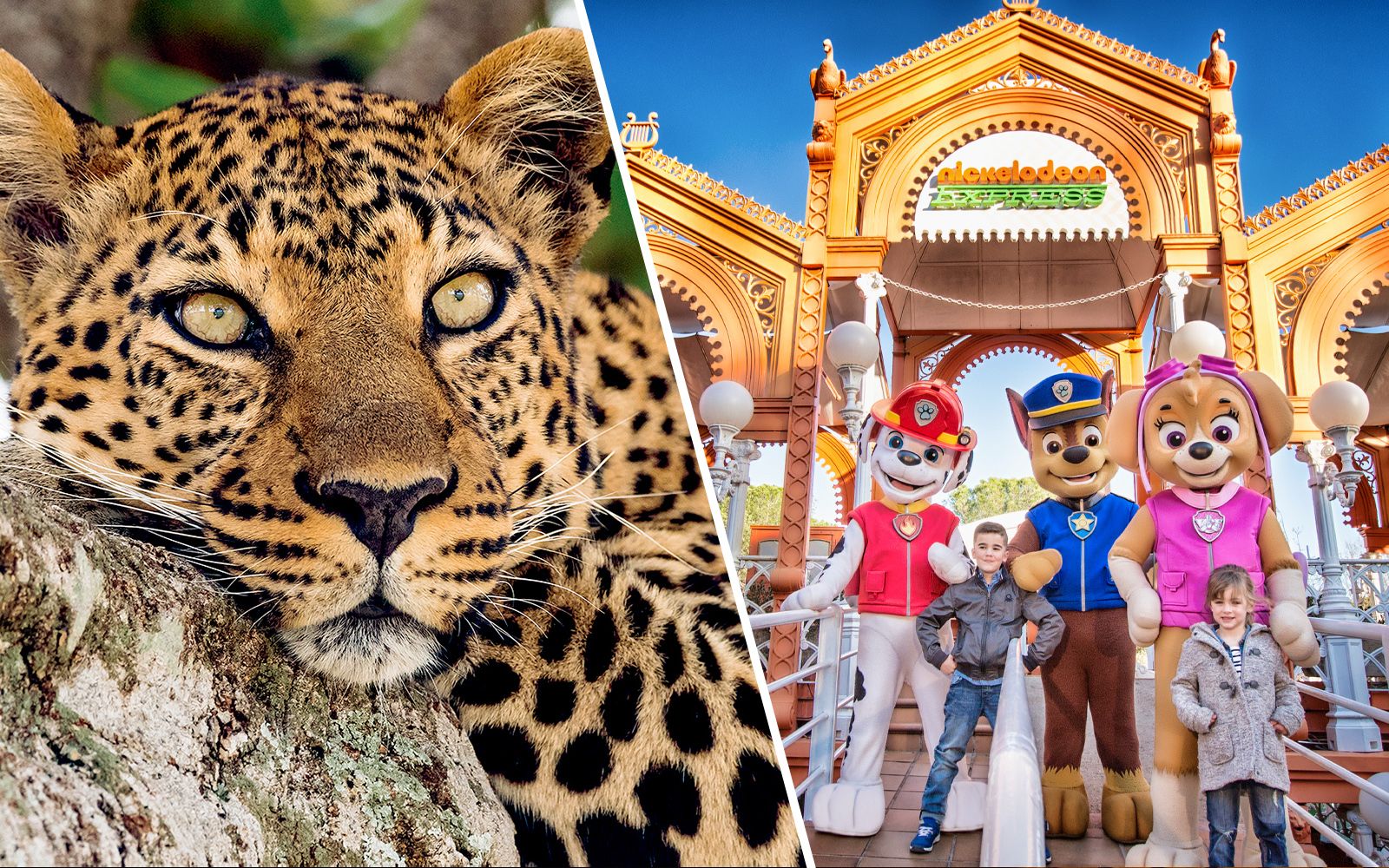 Imagen del tour: Combo: Zoo Aquarium Madrid + Parque de Atracciones de Madrid Skip-the-Line Tickets
