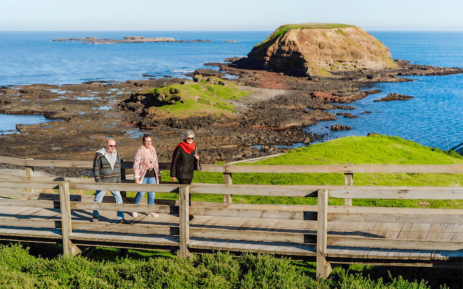 Imagen del tour: Desde Melbourne: Brighton Beach, Santuario a la Luz de la Luna y tour por Phillip Island con Desfile de Pingüinos