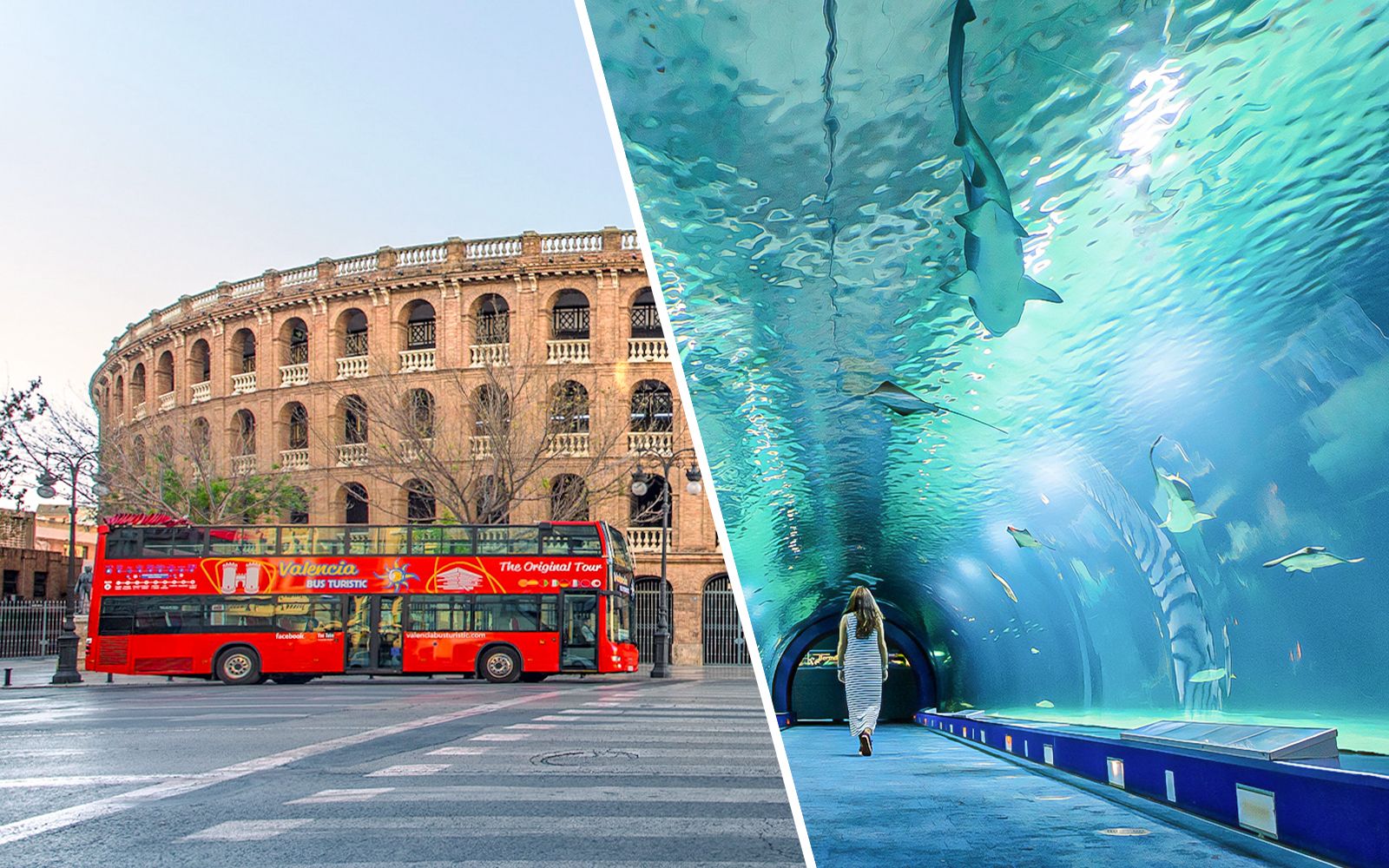 Imagen del tour: Combo: tour por Valencia en autobús turístico de 24/48 horas + entrada al Oceanogràfic