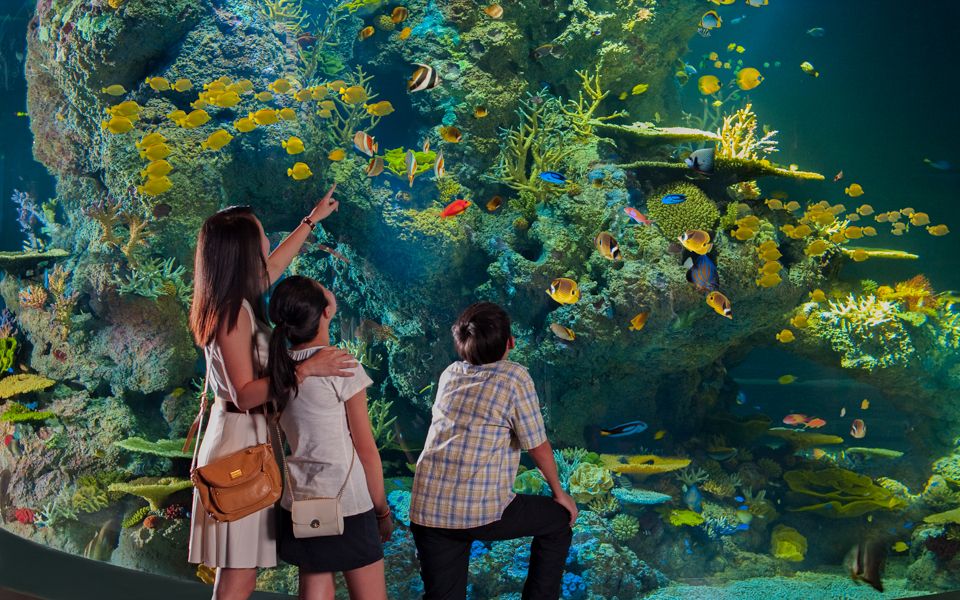 Imagen del tour: Entradas S.E.A Aquarium™ Singapur