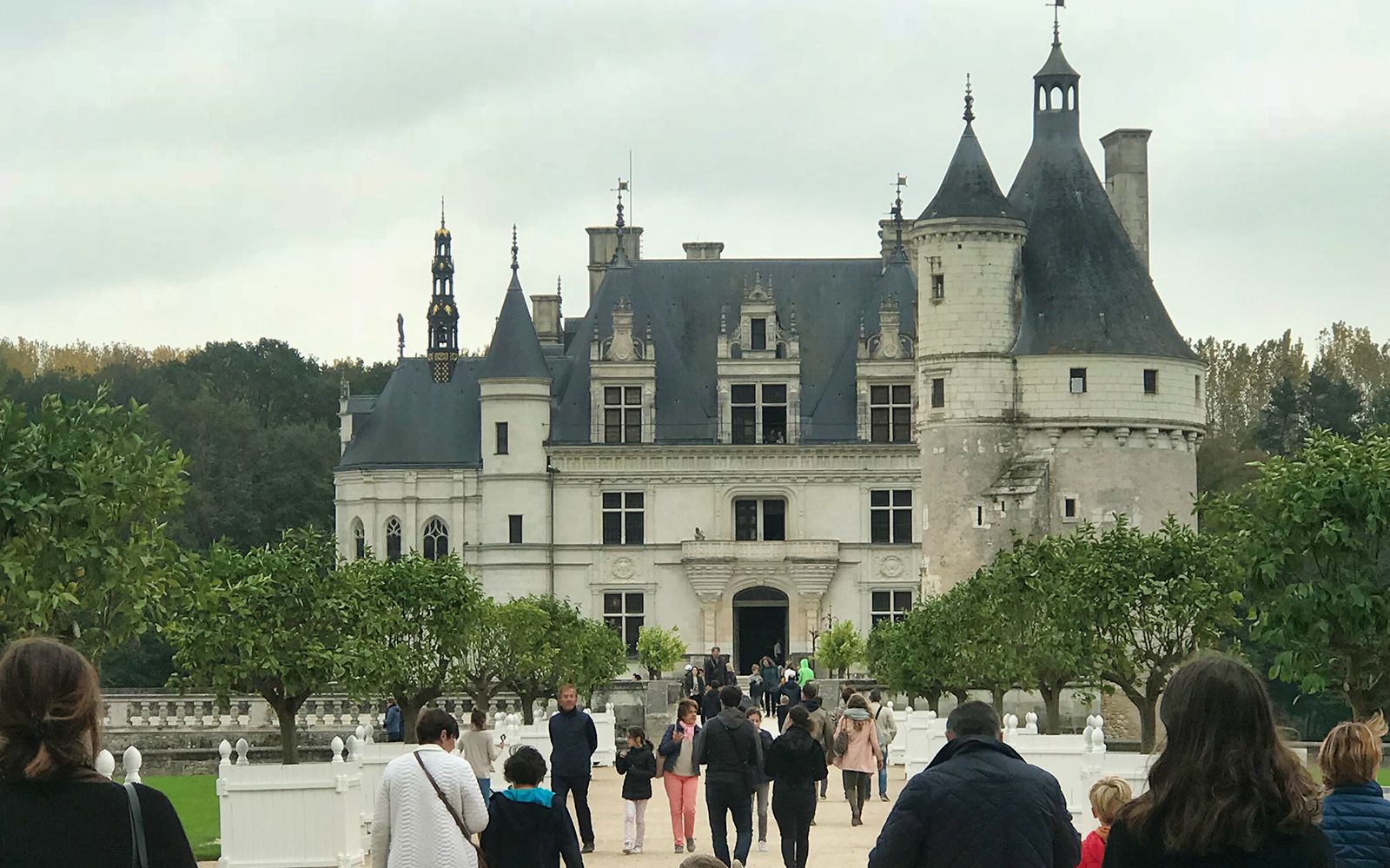Imagen del tour: Excursión Premium a los Castillos del Valle del Loira: Chambord, Chenonceau y Amboise + Degustación de Vinos desde París