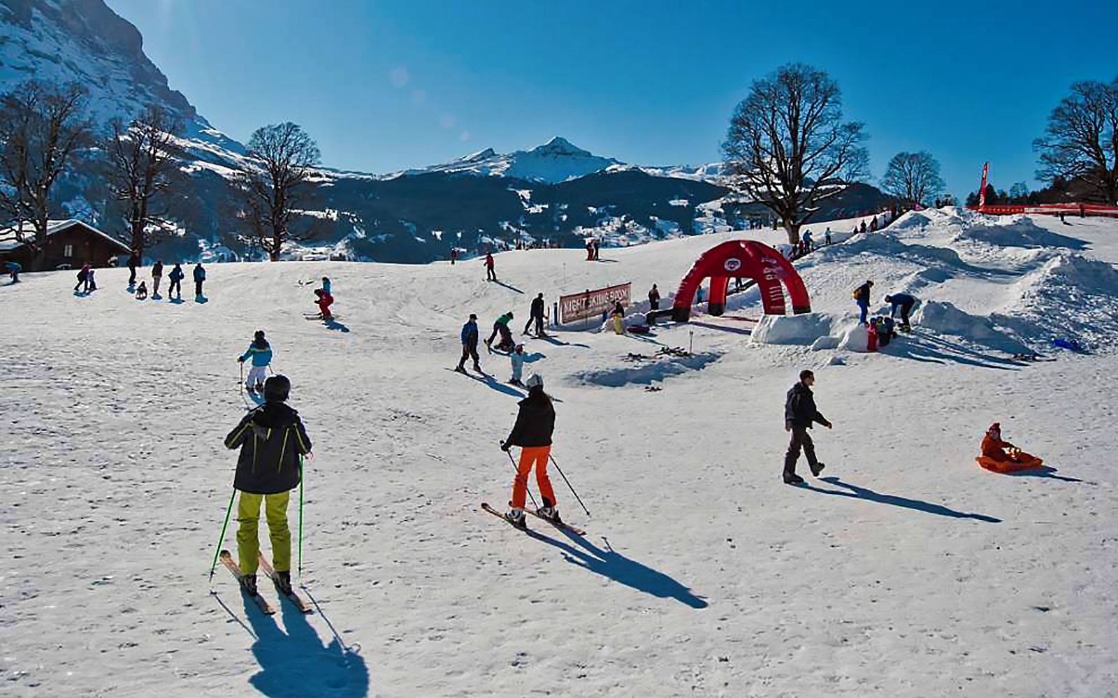 Imagen del tour: Desde Zúrich: experiencia de esquí suizo en la región de la Jungfrau