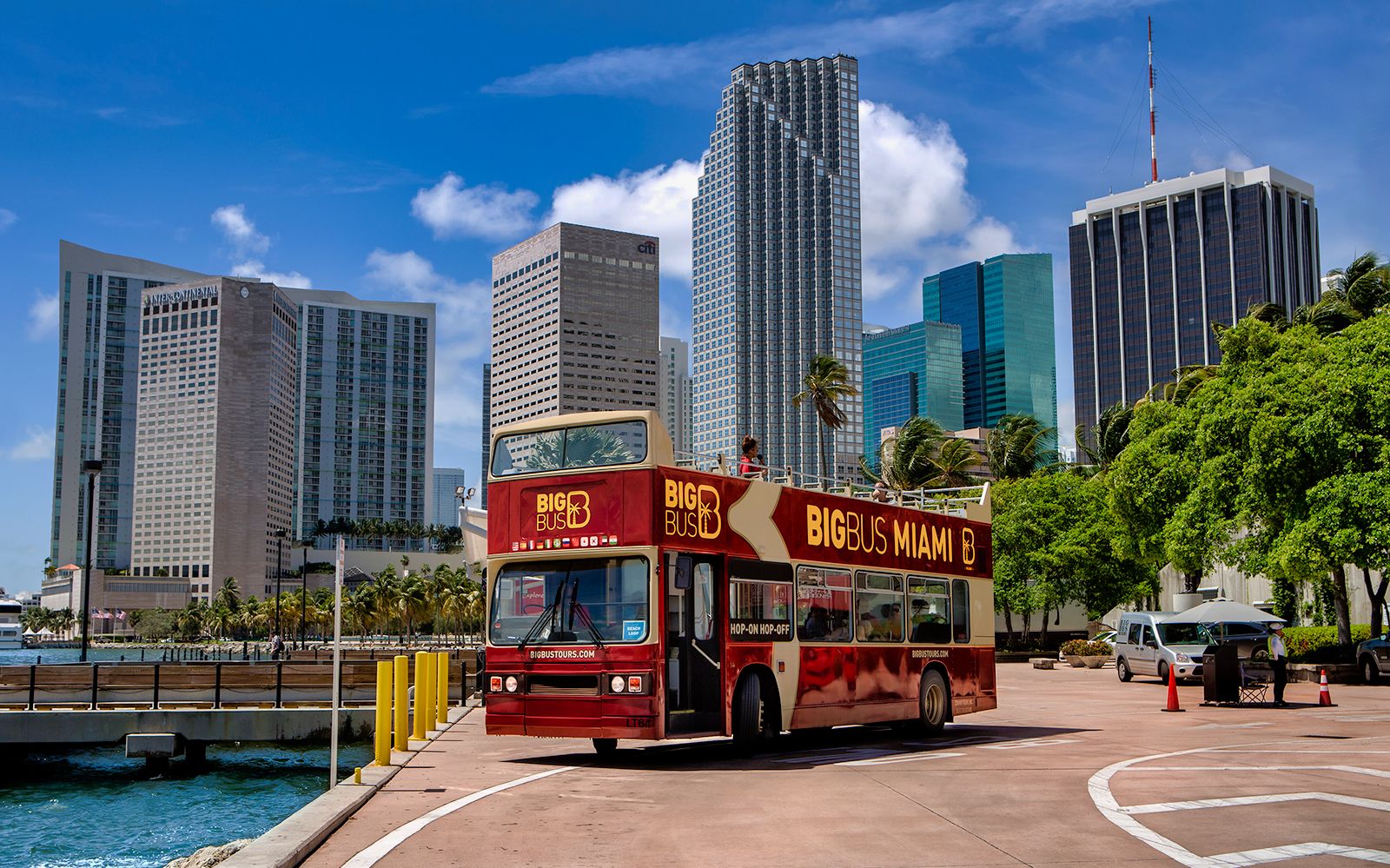 Imagen del tour: Big Bus: tour de 1/2 día(s) en autobús turístico por Miami
