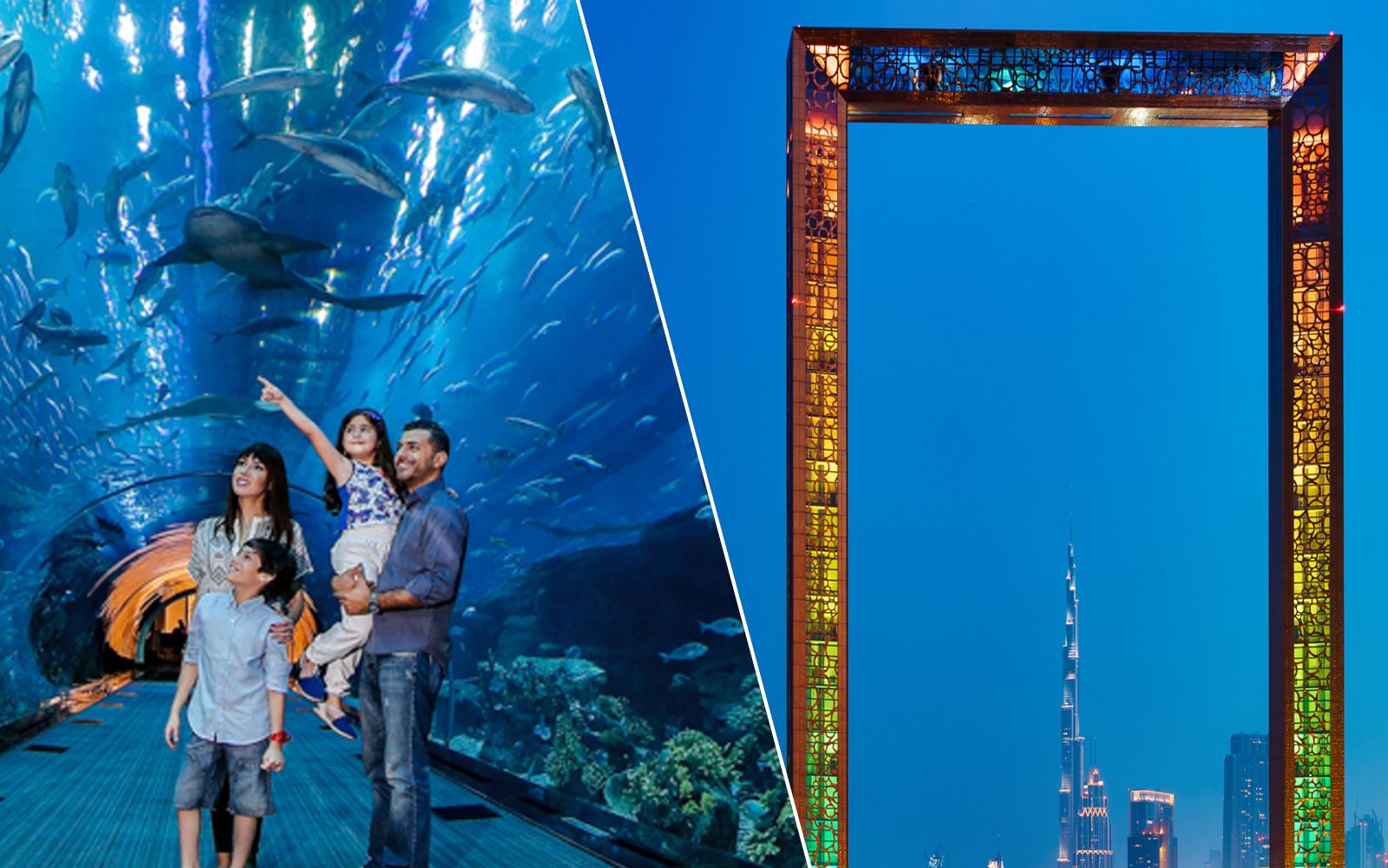 Imagen del tour: Entradas combo: Dubai Aquarium + Dubai Frame