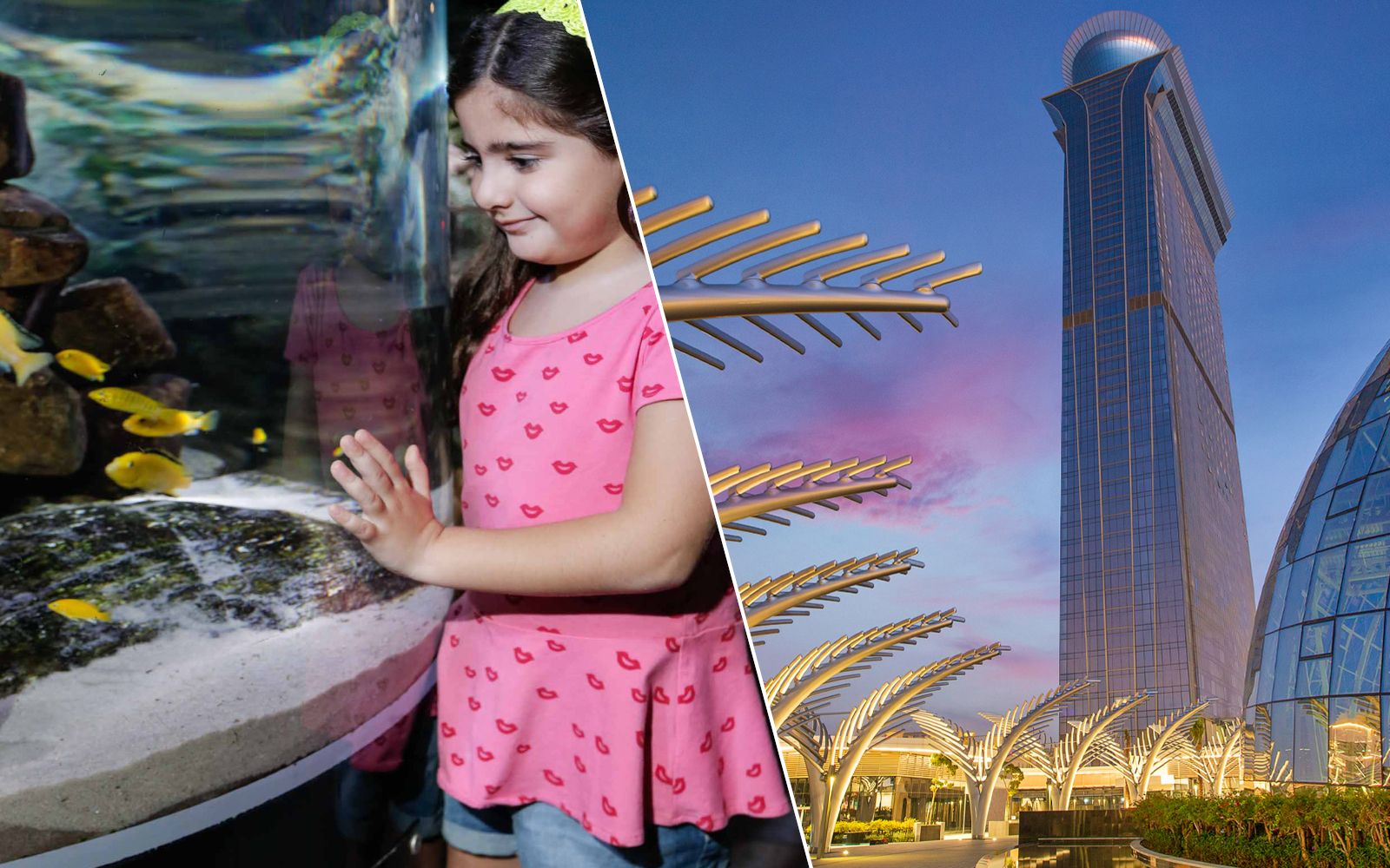 Imagen del tour: Dubai Aquarium + View at the Palm + Dubai Frame