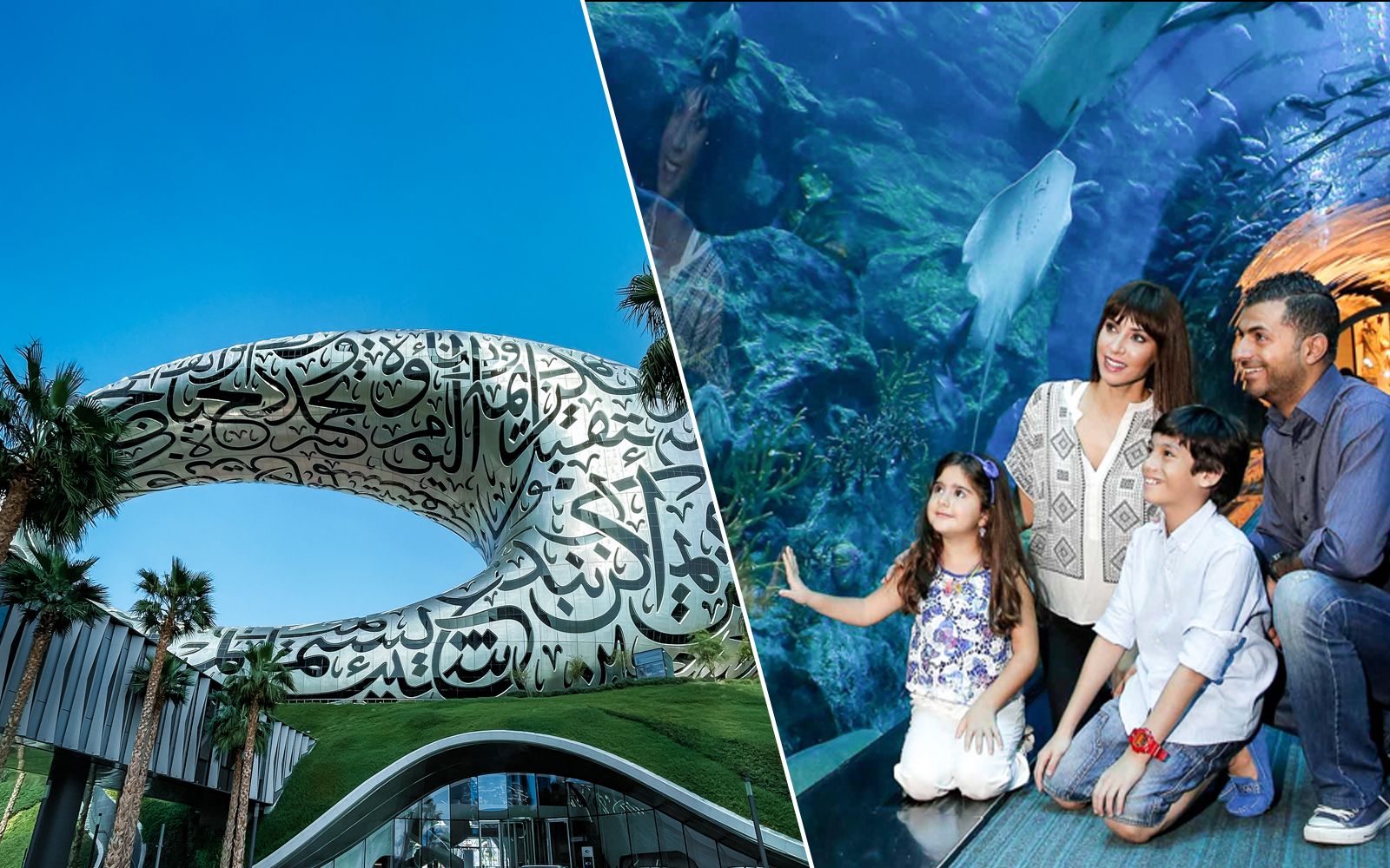 Imagen del tour: Combo: Museo del Futuro + Acuario y Zoo Submarino de Dubái