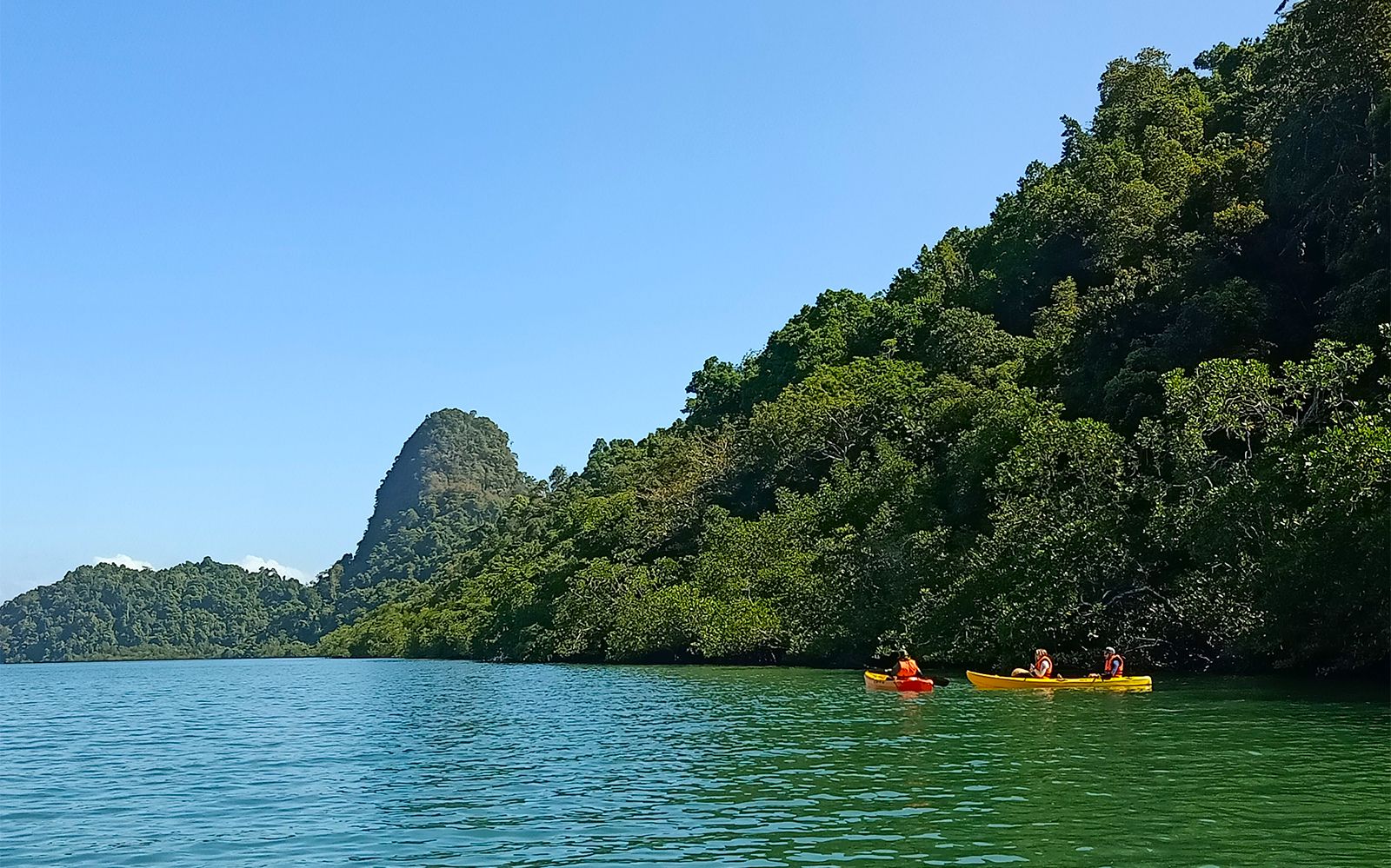 Imagen del tour: Langkawi Mangrove Kayaking Adventure Tour
