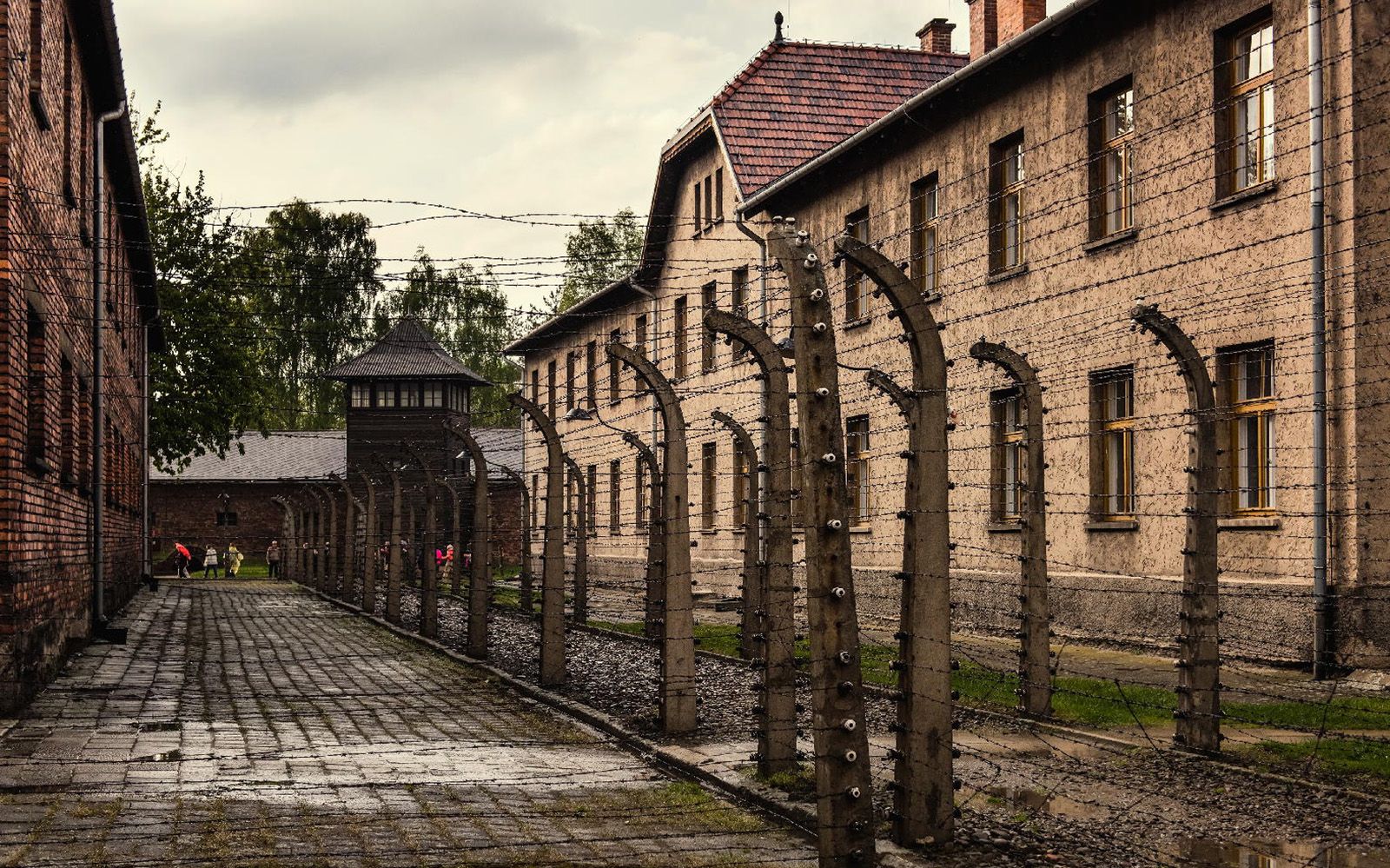 Imagen del tour: Tour a Auschwitz-Birkenau y Cracovia en tren desde Varsovia