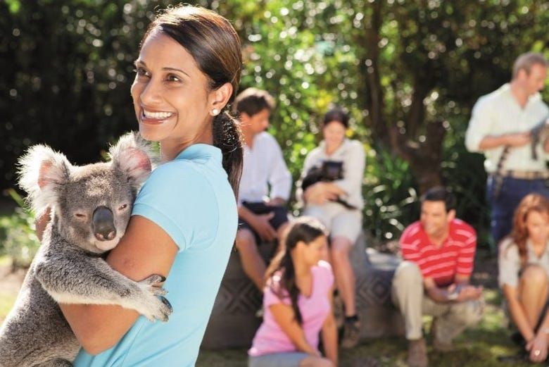 Imagen del tour: Excursión al Australia Zoo 