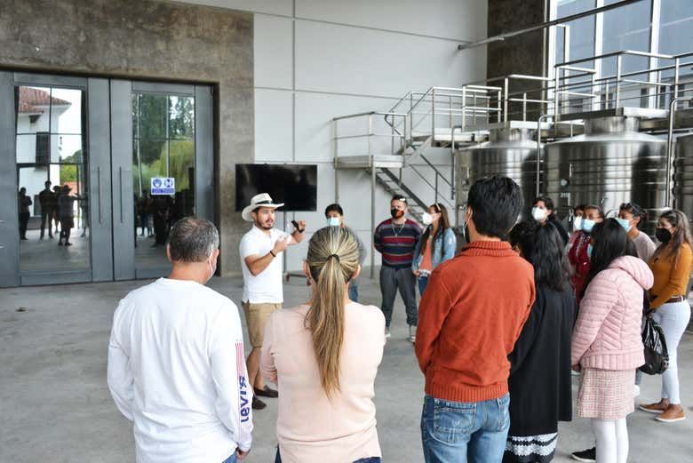 Imagen del tour: Tour por las bodegas del valle de la Concepción 