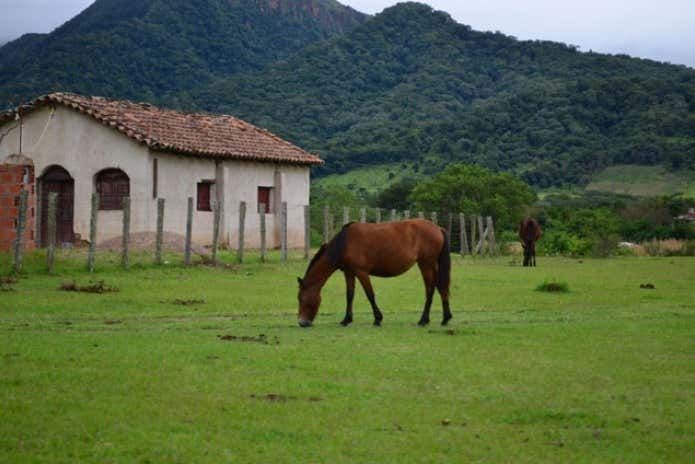 Imagen del tour: Tour de 3 días por los valles de Tarija